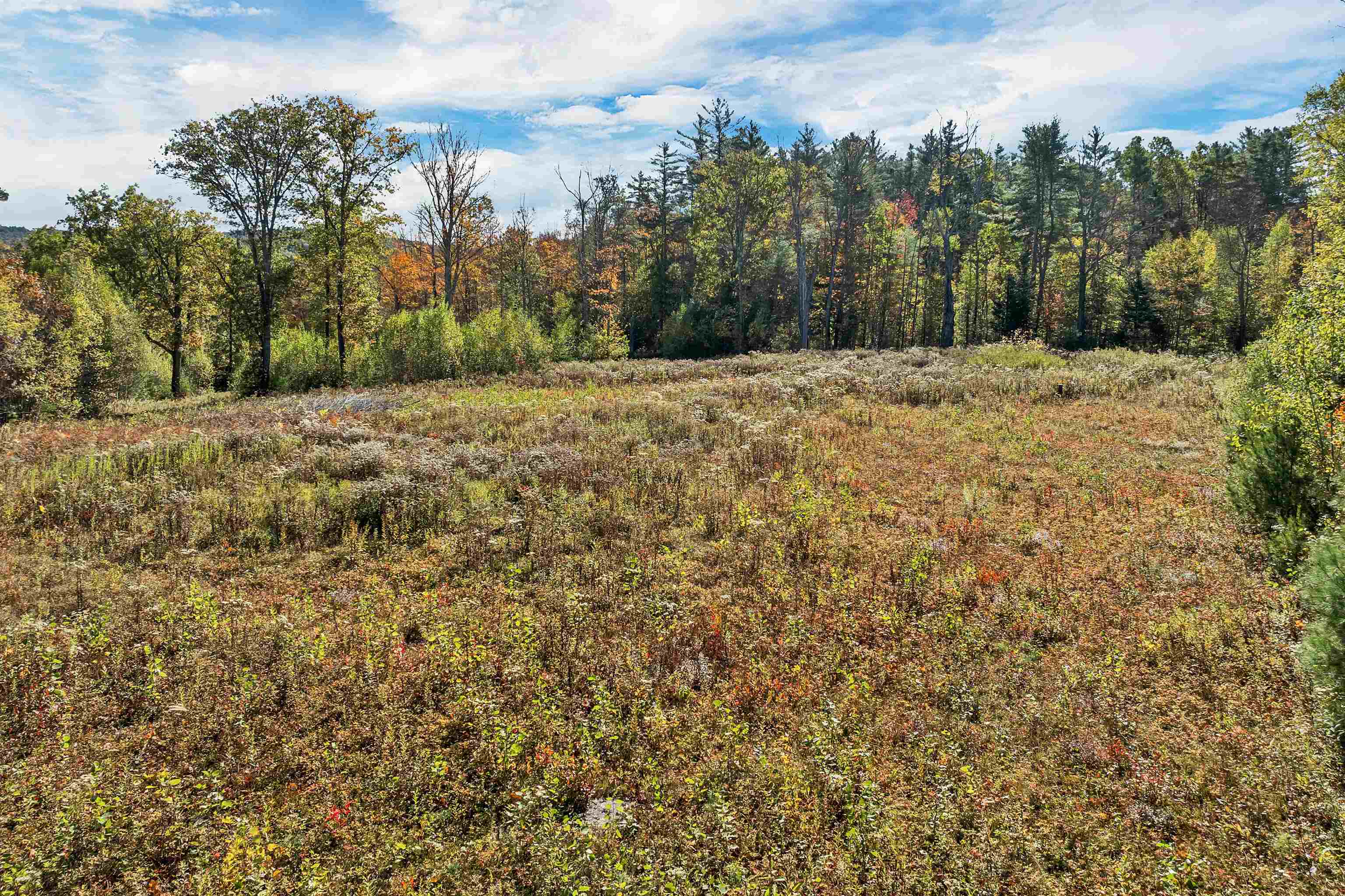 MLS #5065429 image #3