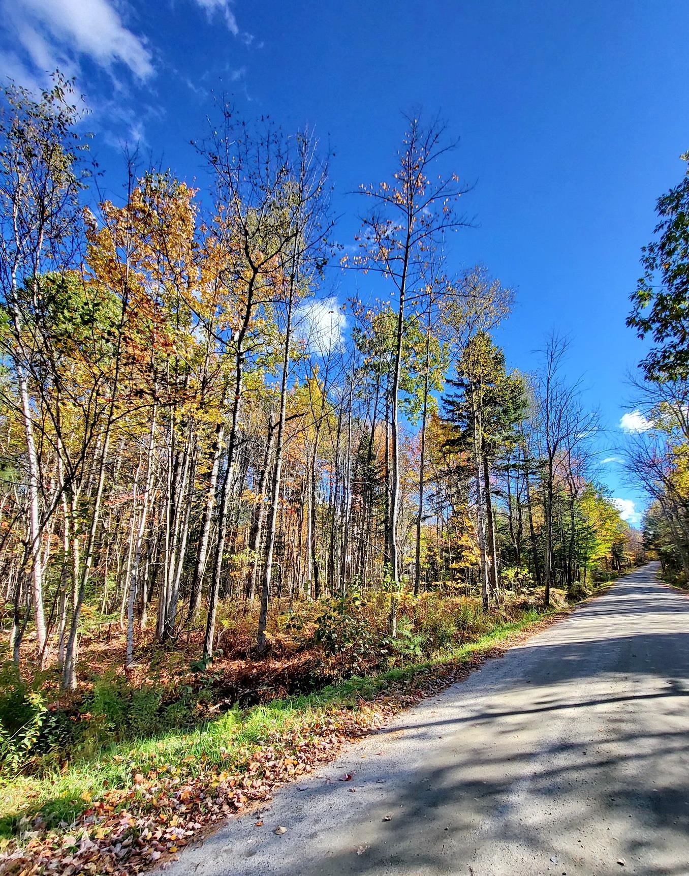 Bethlehem NH Land for sale $$87,000 | 3.7 Acres  | Price Per Acre $0 