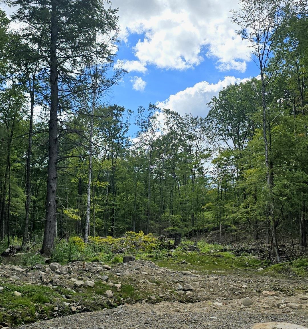 000 Garmish Dr, New Durham, NH 03855