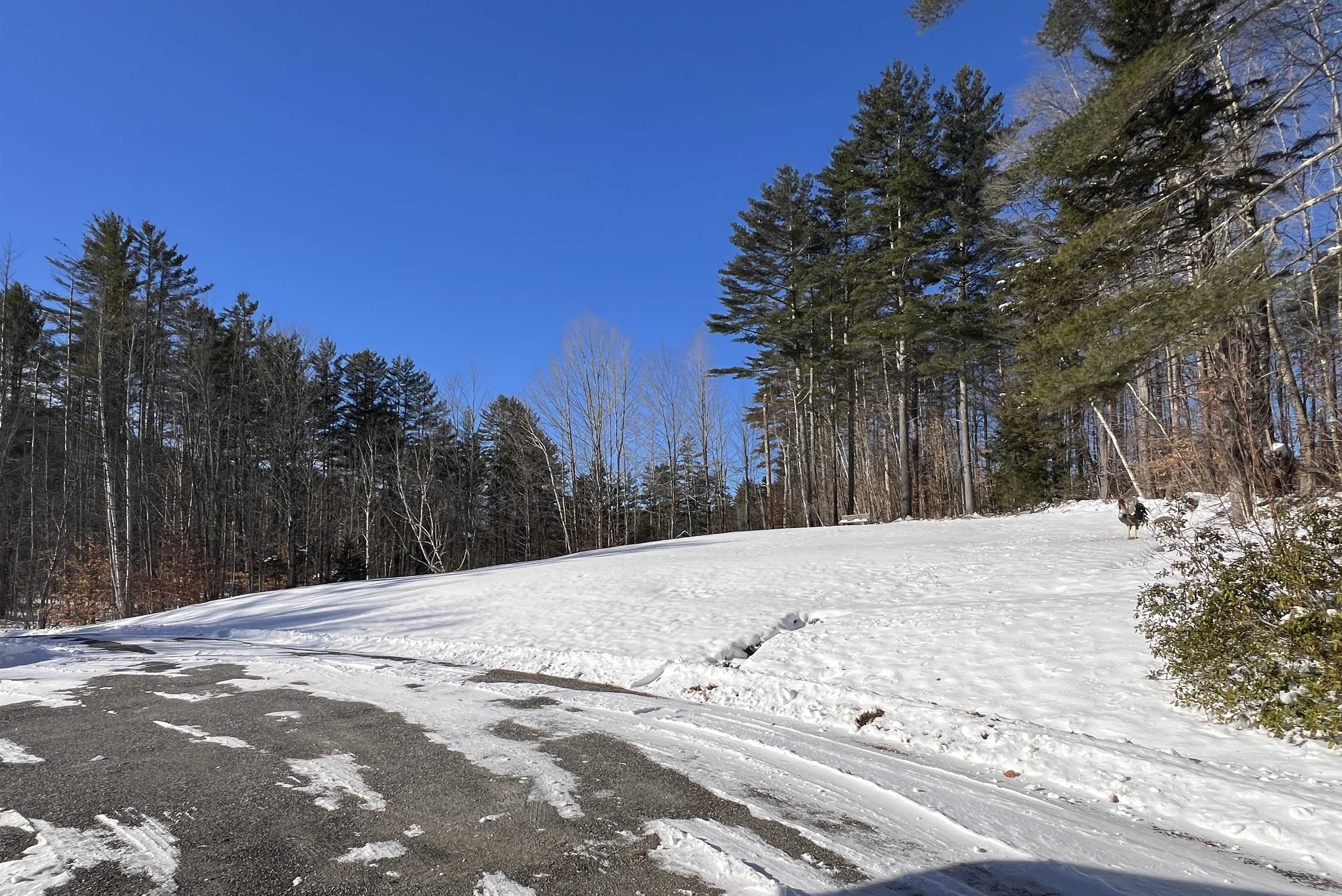 Homes for sale in Wardsboro, VT | 4448 Route 100, Wardsboro, VT 05355 | MLS# 5065488