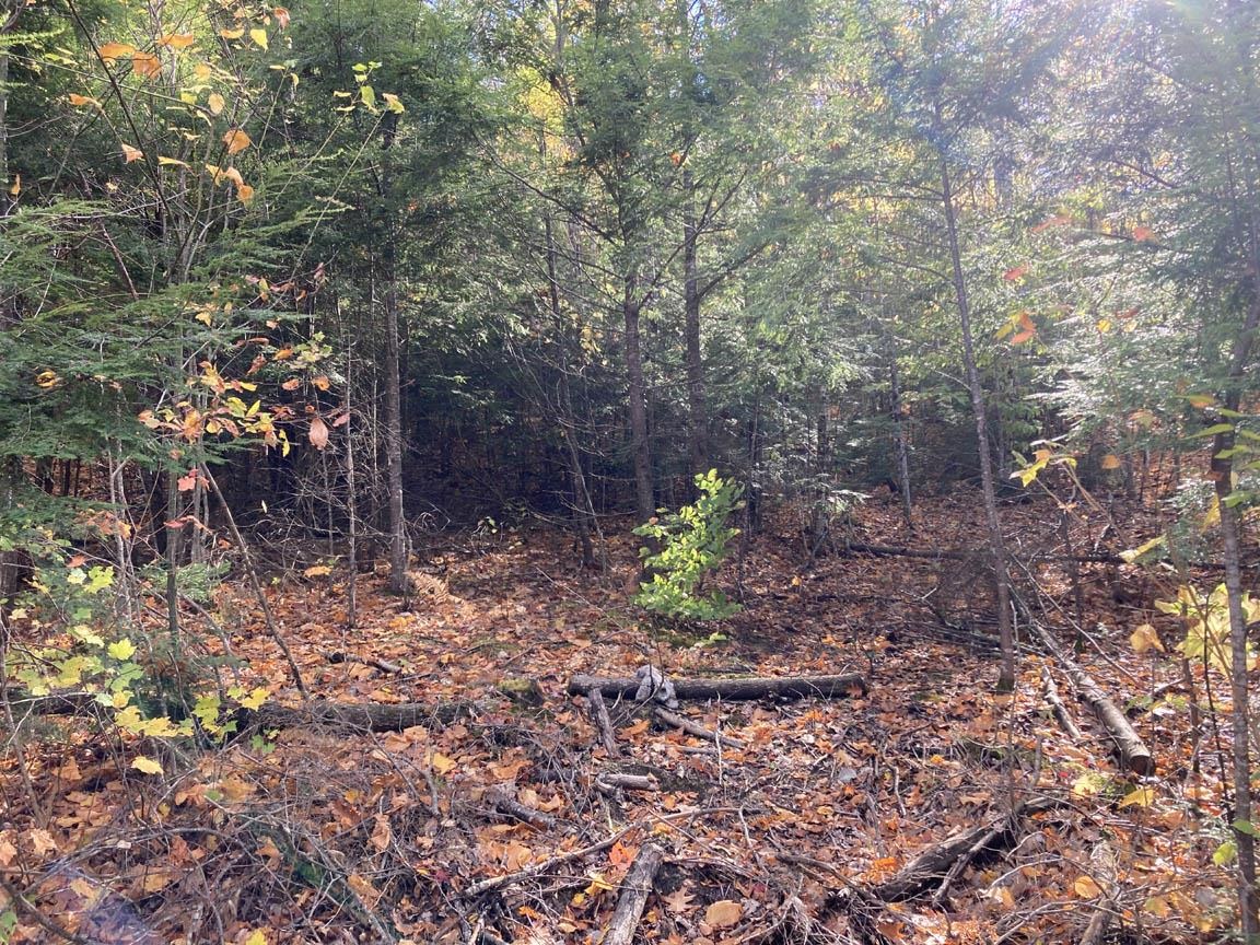 Lot with plenty of space