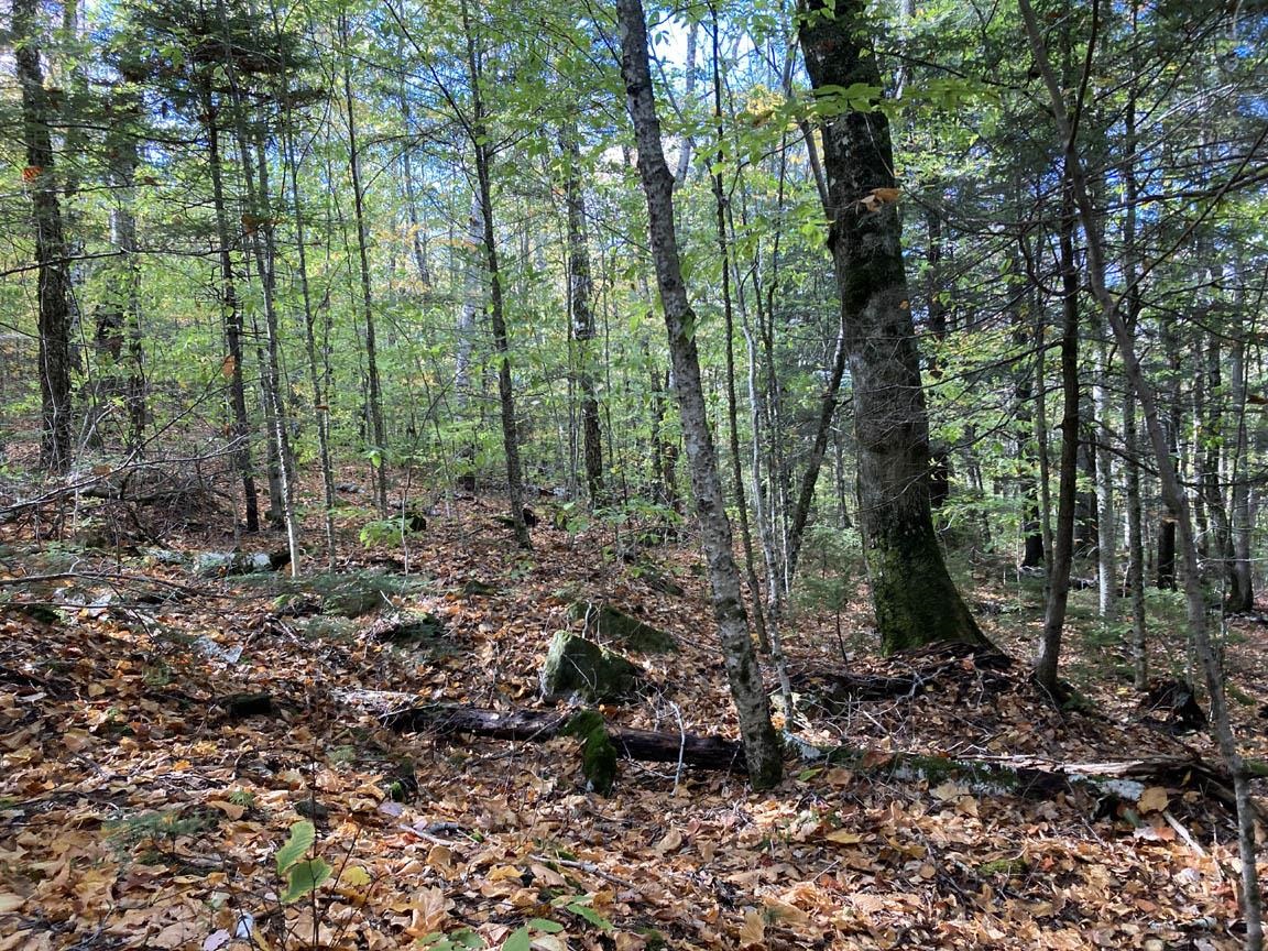 is this great property