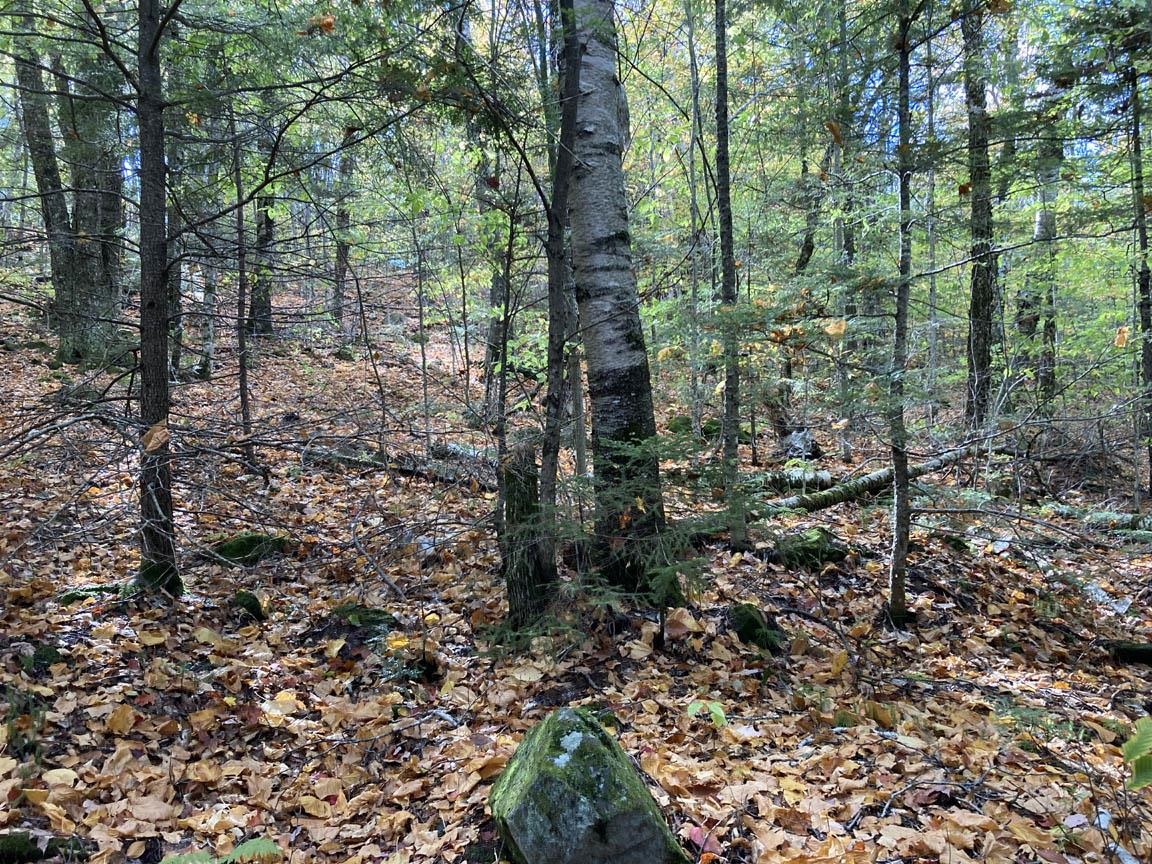 Homes for sale in Campton, NH | Abnaki Trl, Campton, NH 03223 | MLS# 5065520