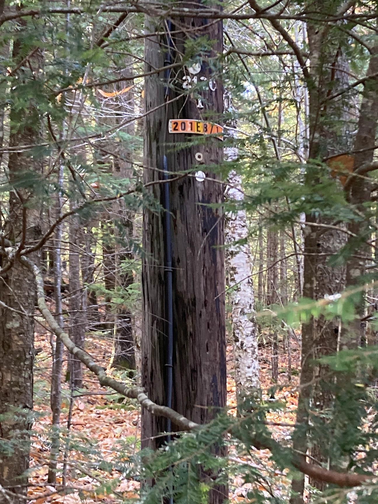 Homes for sale in Campton, NH | Abnaki Trl, Campton, NH 03223 | MLS# 5065520