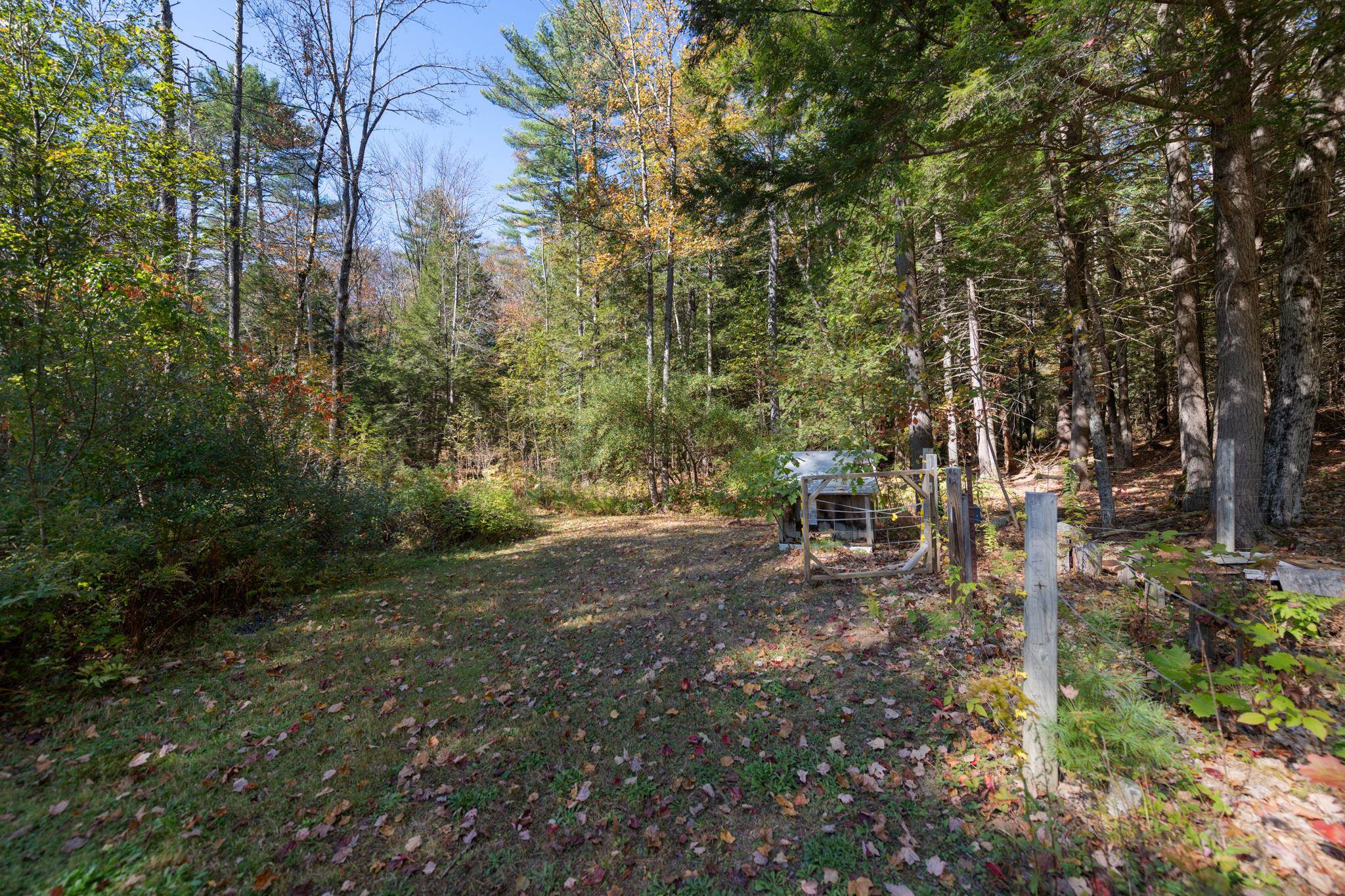 a peek at the wood line, with electric fence enclosure