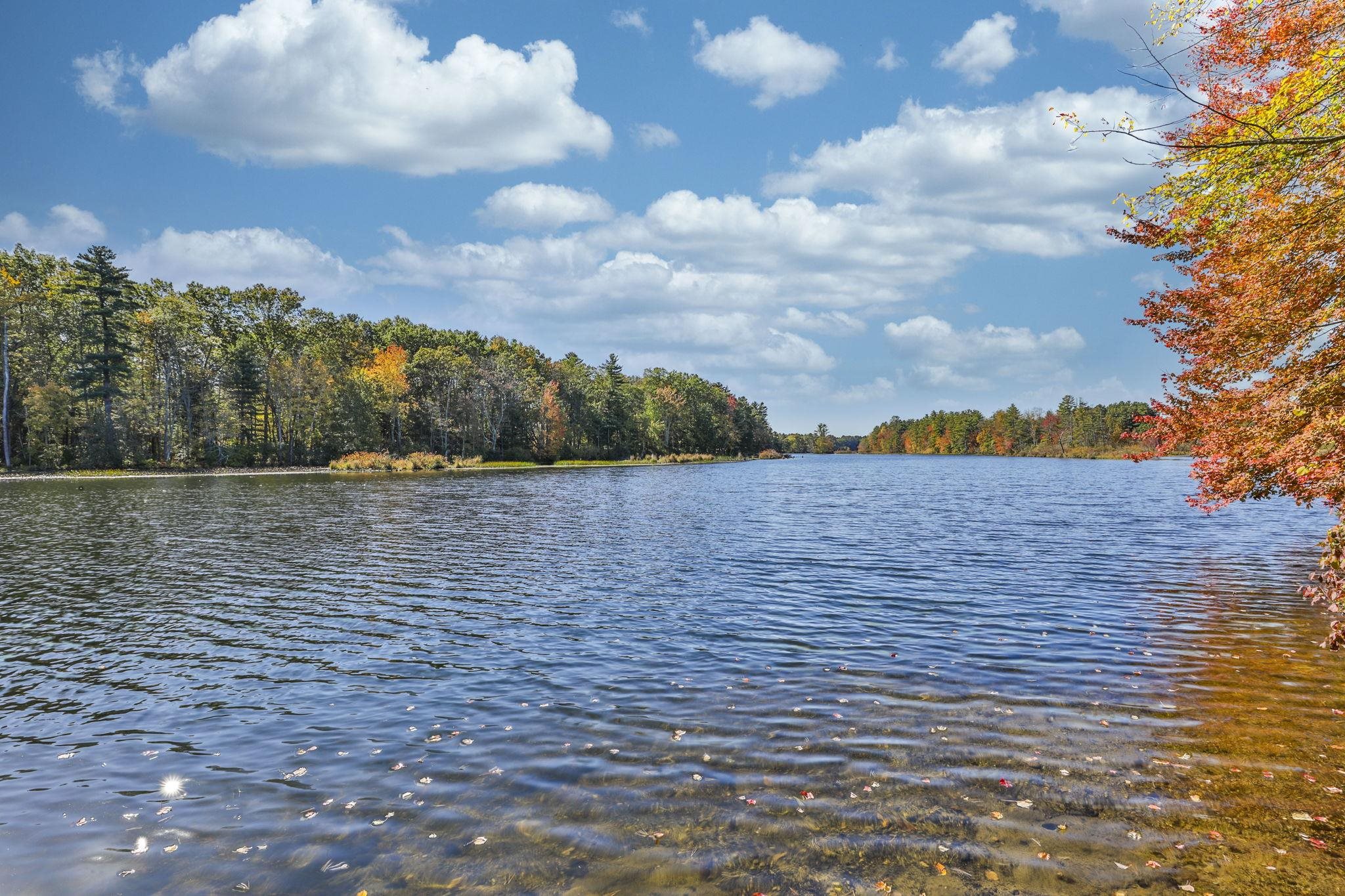 MLS #5065583 image #15