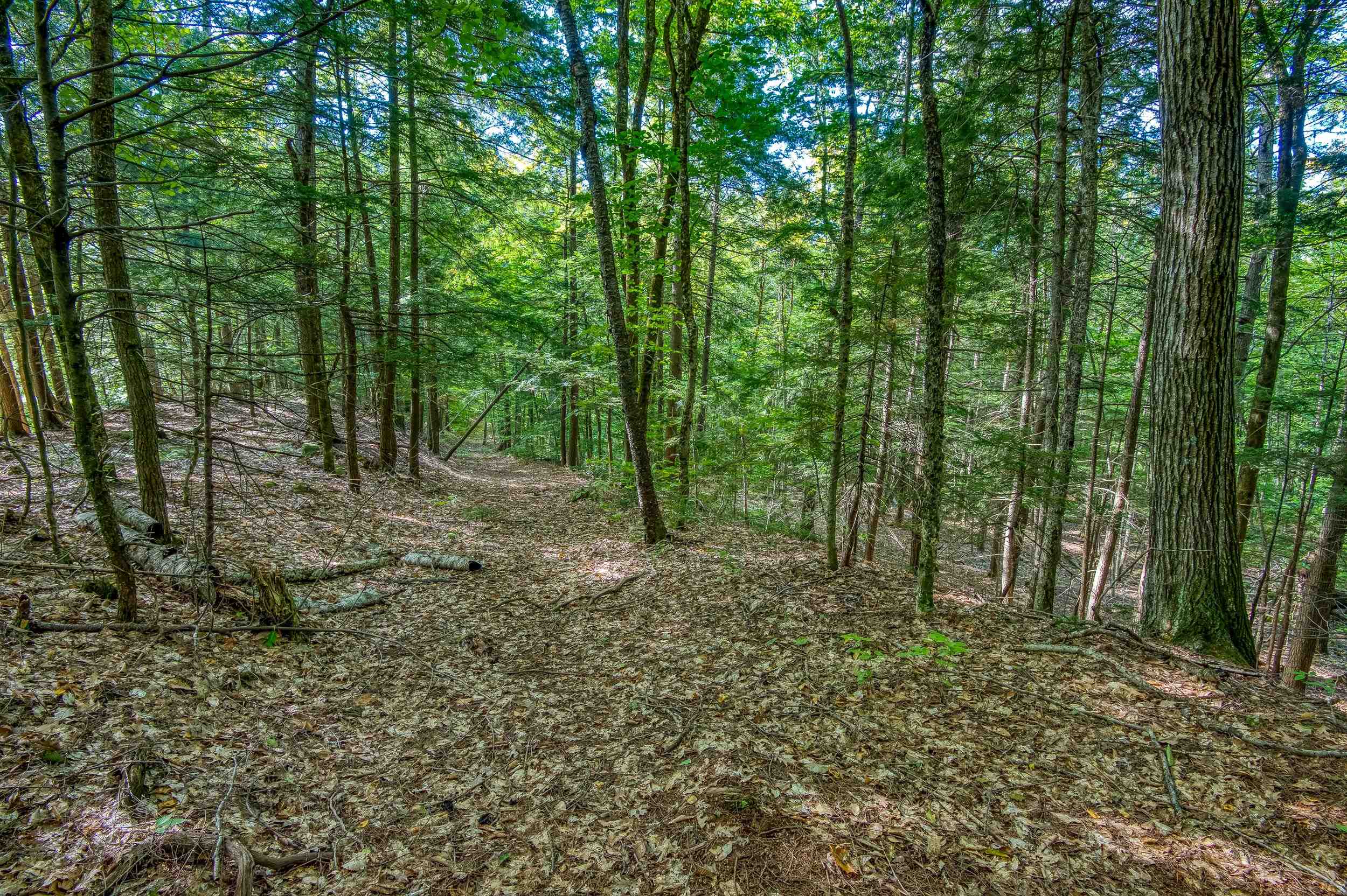 00 Thorn Hill Rd, Bartlett, NH 03812