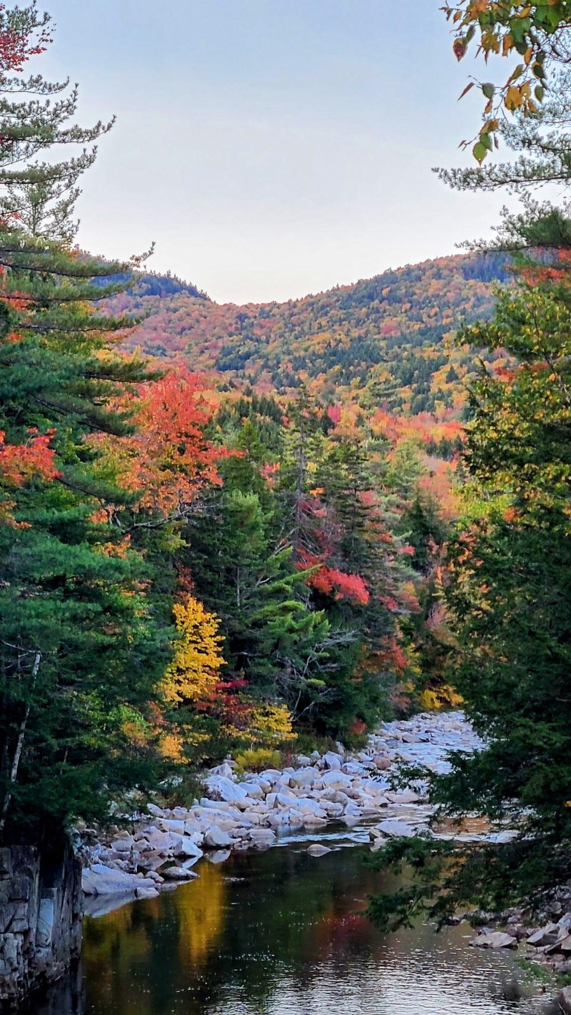 MLS #5065612 image #53