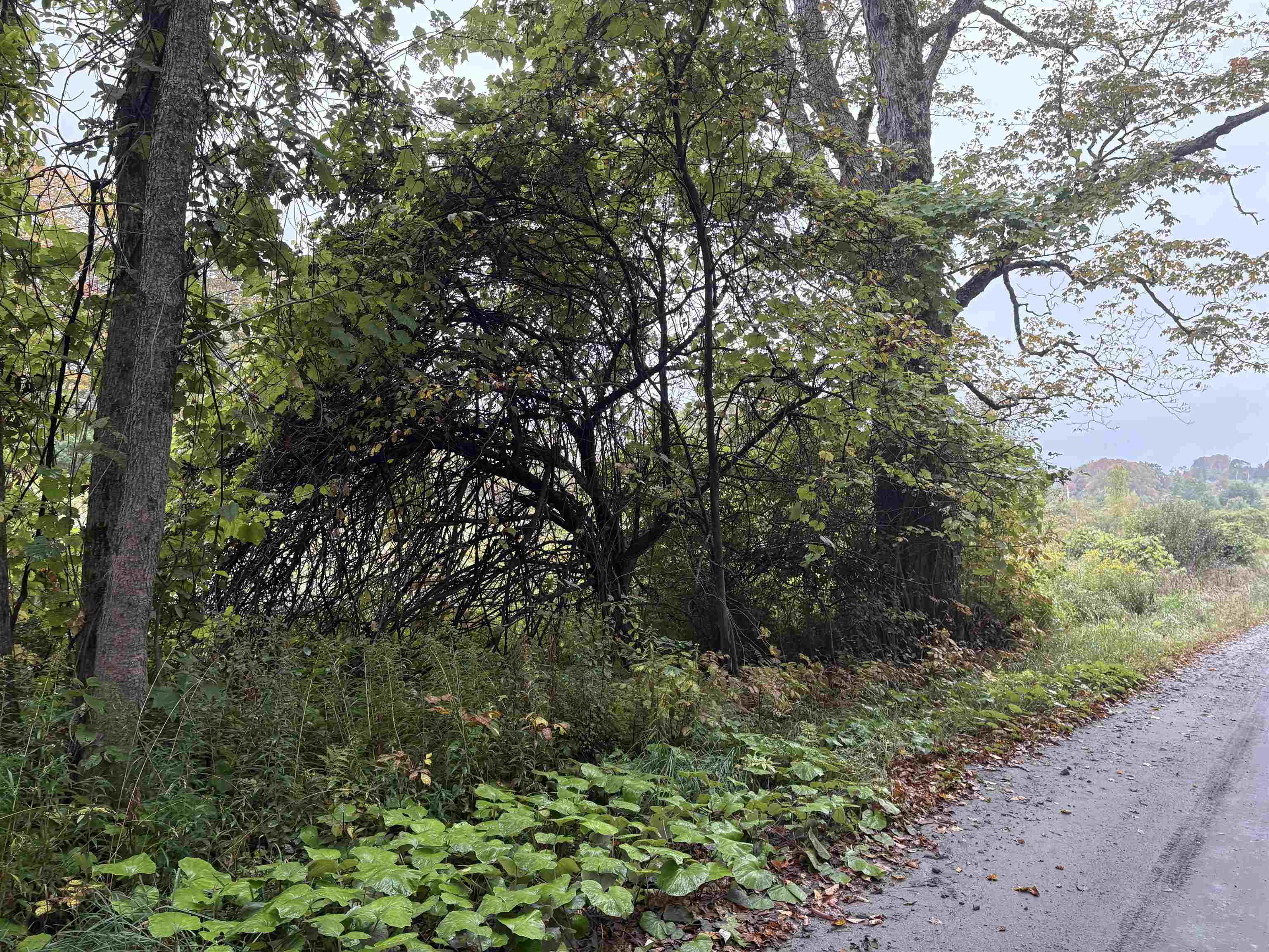 Homes for sale in Brookfield, VT | 0 West St, Brookfield, VT 05036 | MLS# 5065625