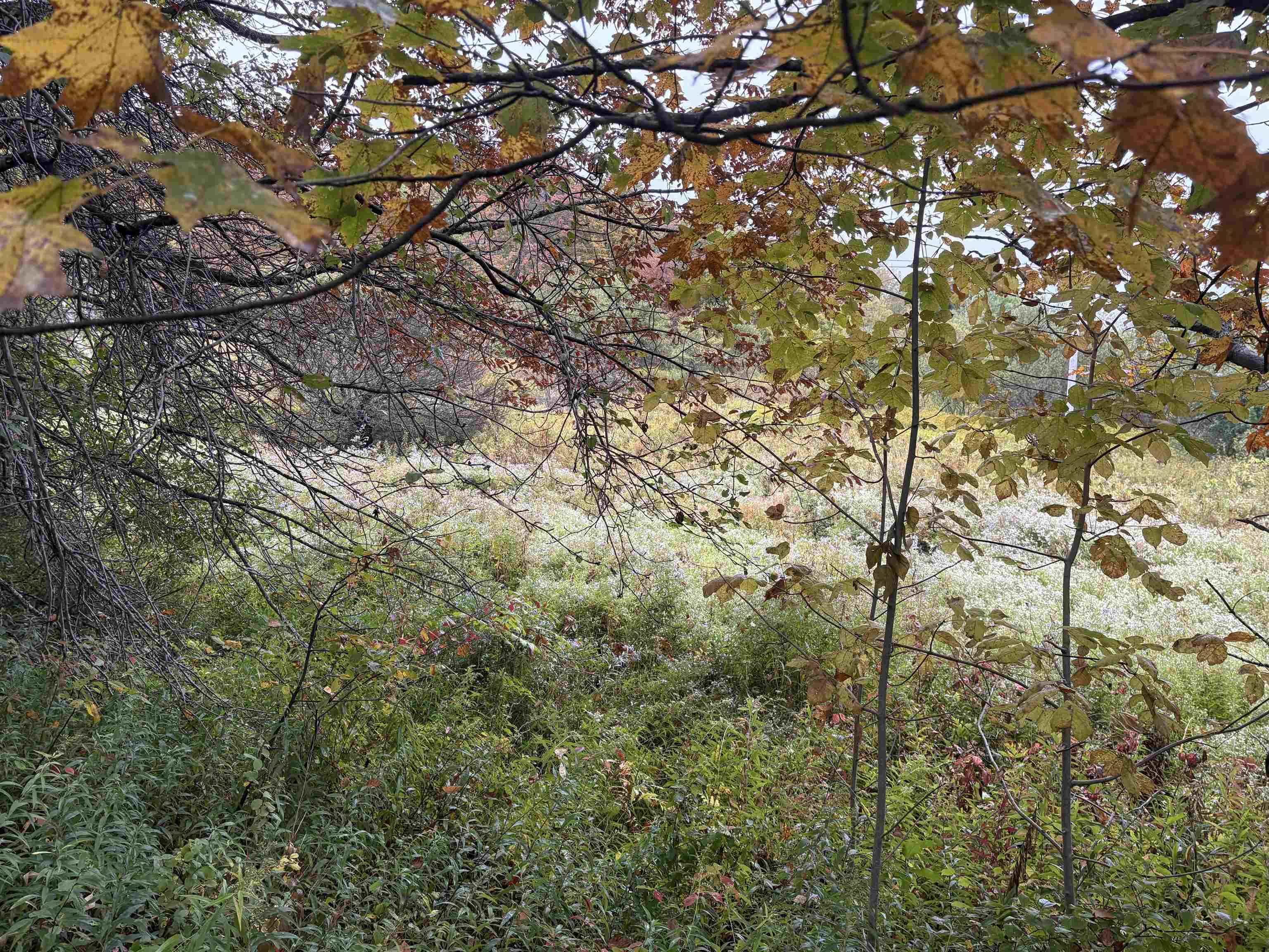 Homes for sale in Brookfield, VT | 0 West St, Brookfield, VT 05036 | MLS# 5065625