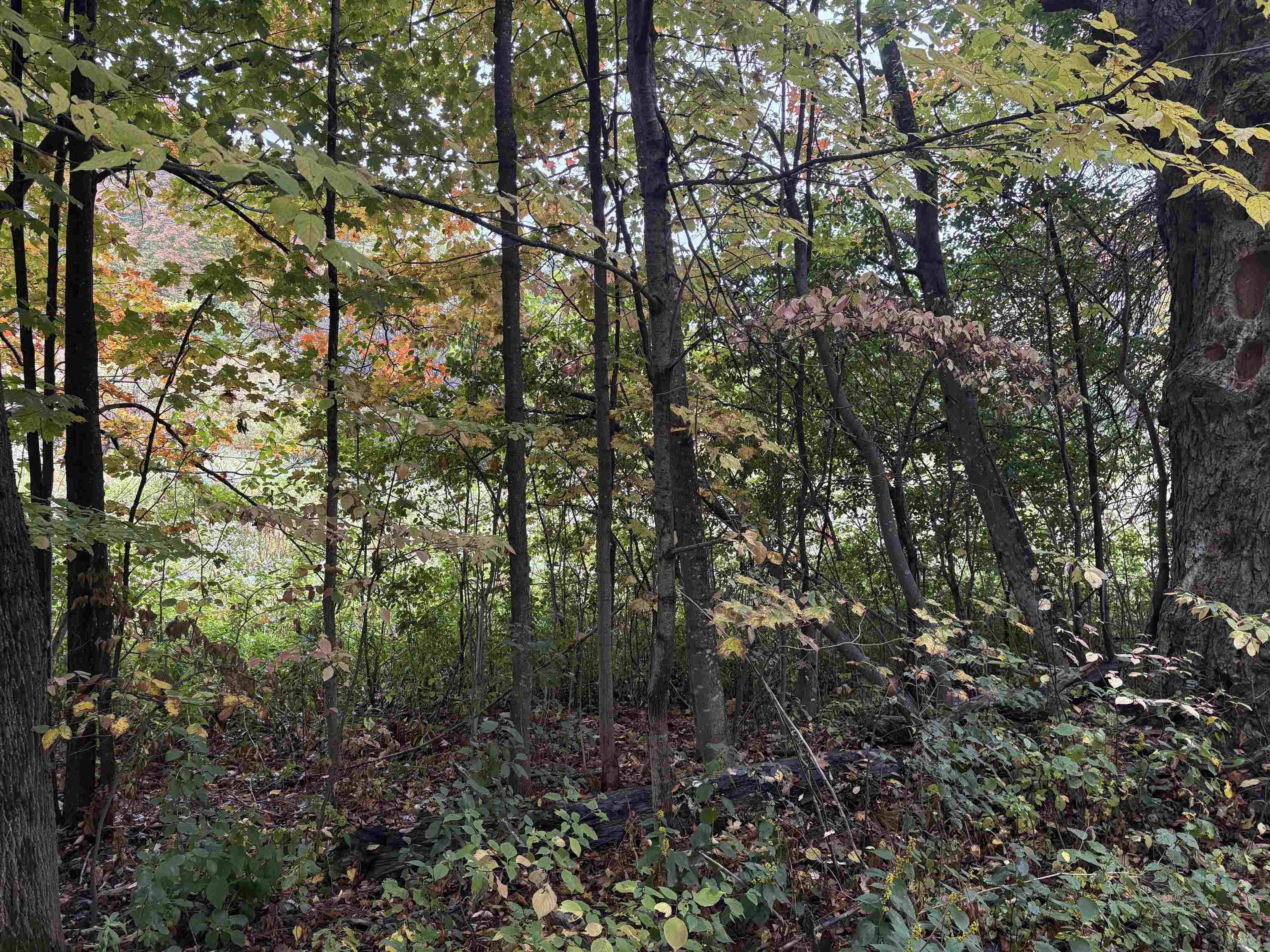 Homes for sale in Brookfield, VT | 0 West St, Brookfield, VT 05036 | MLS# 5065625