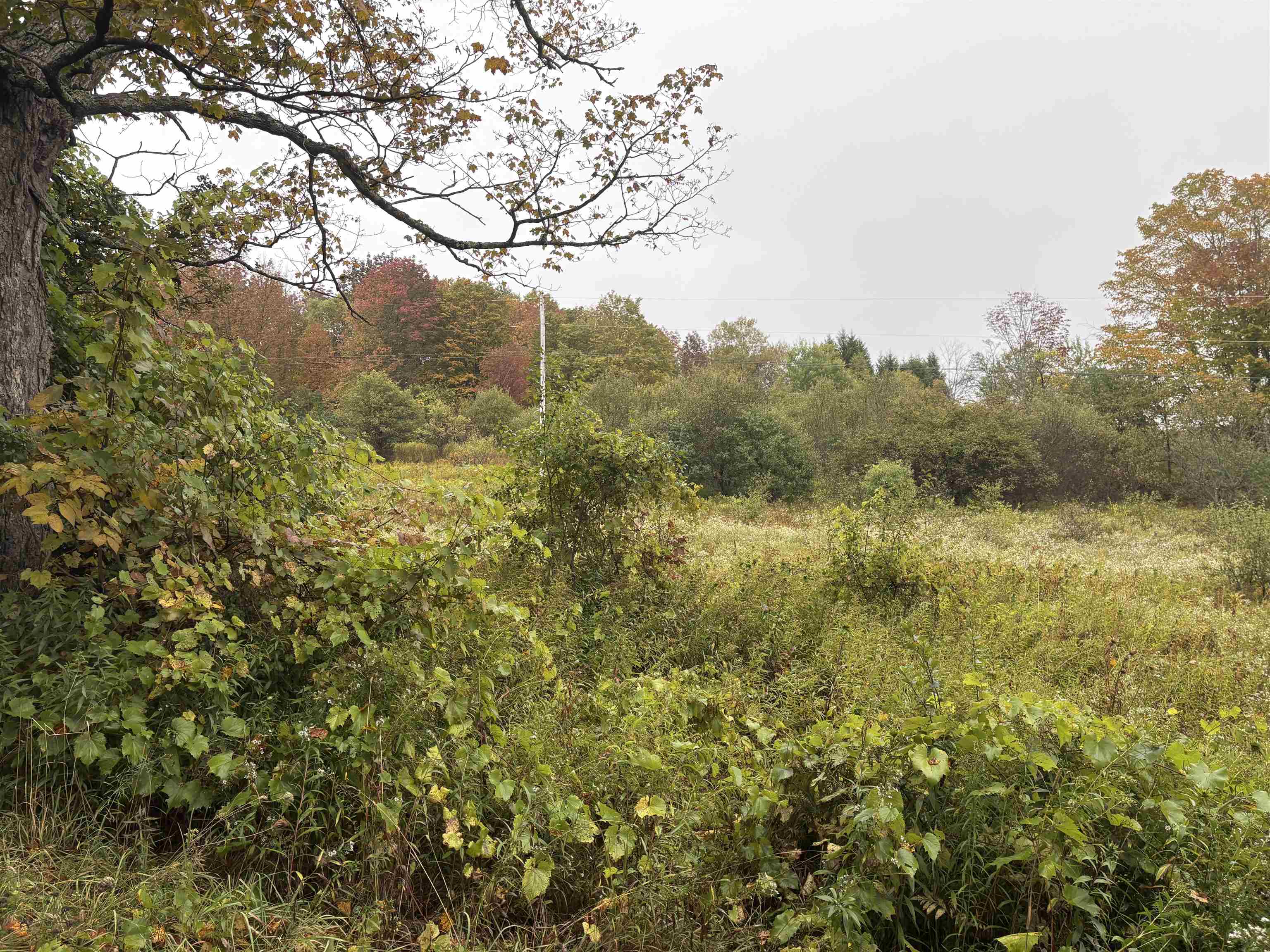 Homes for sale in Brookfield, VT | 0 West St, Brookfield, VT 05036 | MLS# 5065625