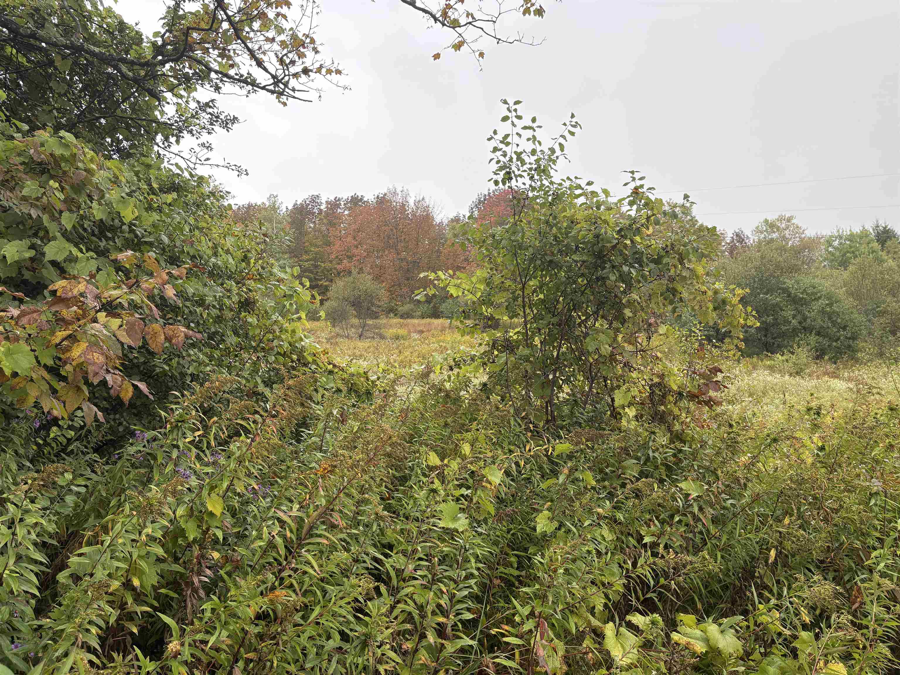 Homes for sale in Brookfield, VT | 0 West St, Brookfield, VT 05036 | MLS# 5065625