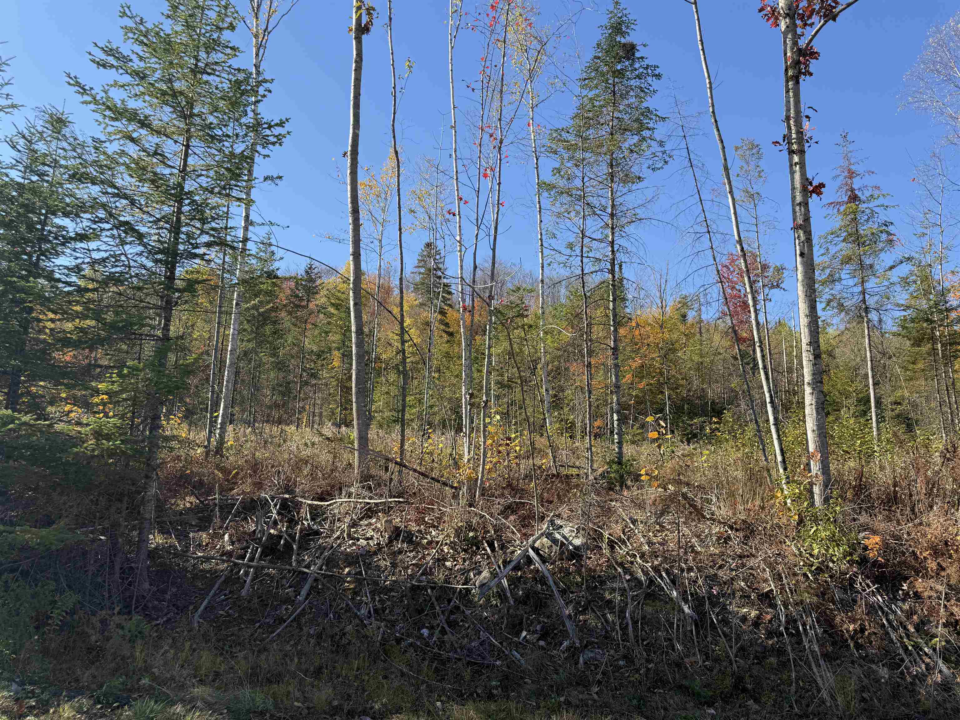 Homes for sale in Lancaster, NH | Lot 24 Hartco Ave, Lancaster, NH 03584 | MLS# 5065694