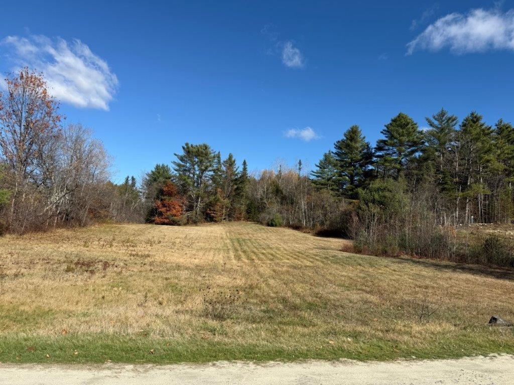 Bring your Horses! 24355899