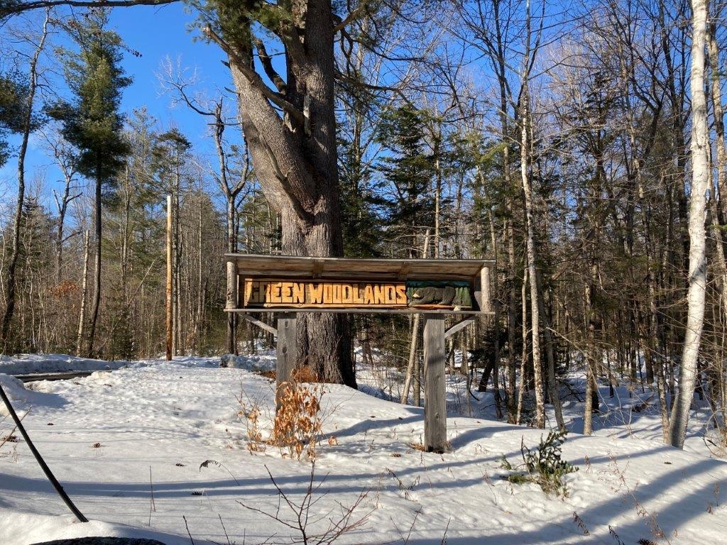 Enjoy Mtn Biking At Green Woodlands 24276355