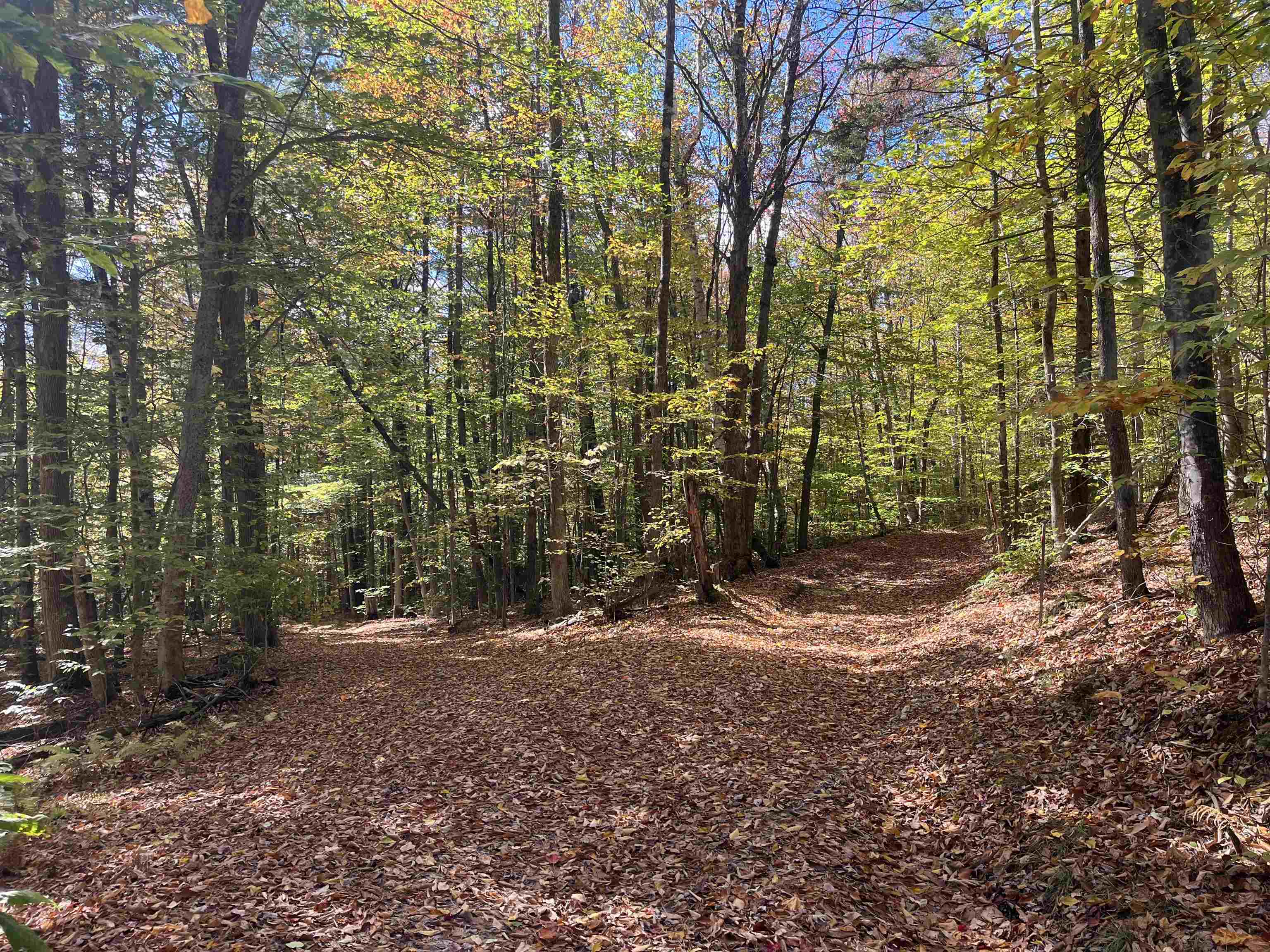   Click for more details  