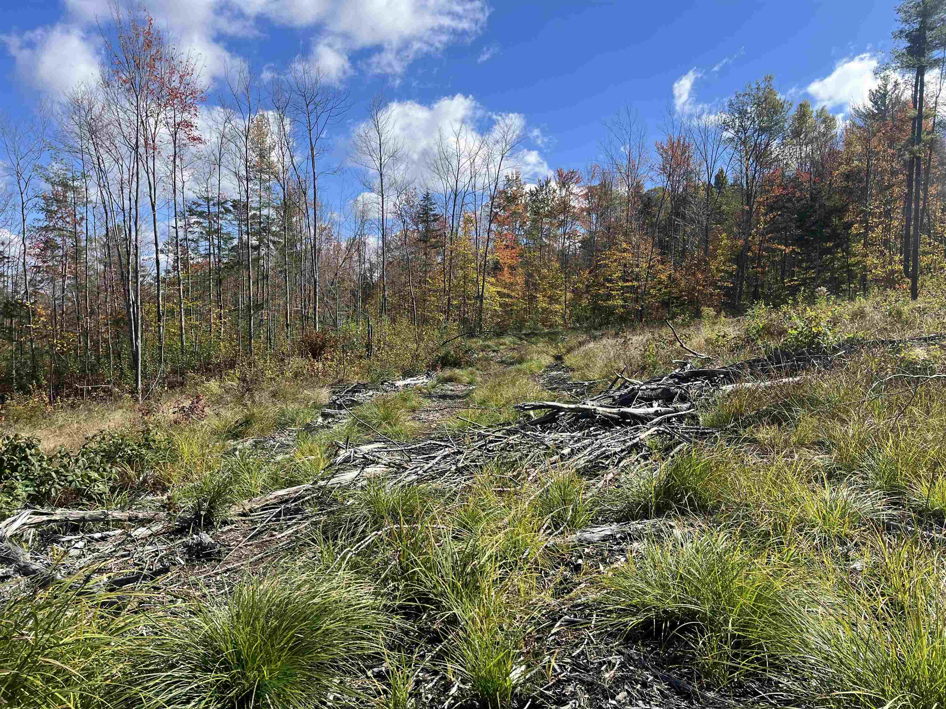 00 Messier Hill Rd, Roxbury, VT 05669