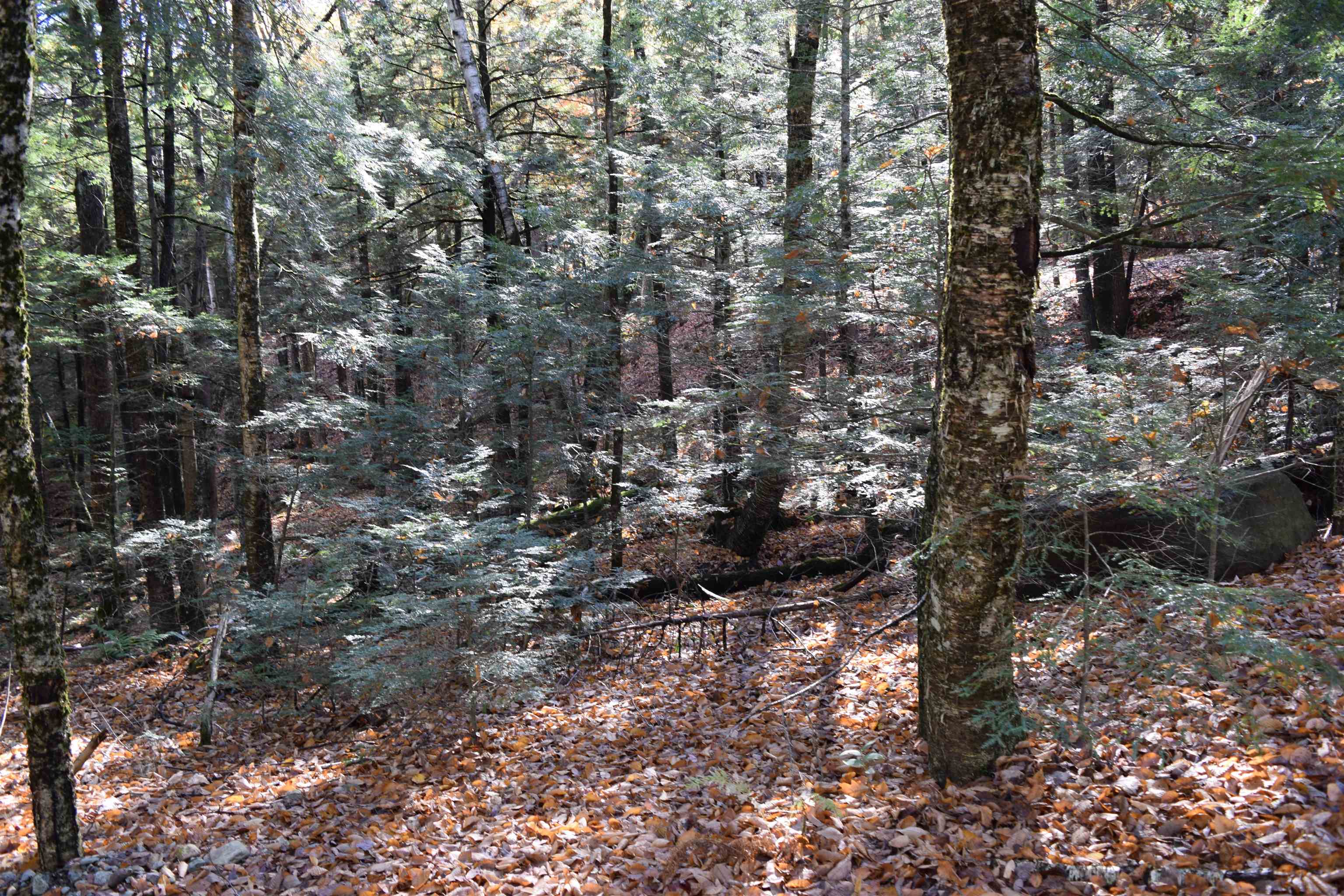 Haverhill NH Land for sale $$15,500 | 0.44 Acres  | Price Per Acre $0  | Total Lots 2