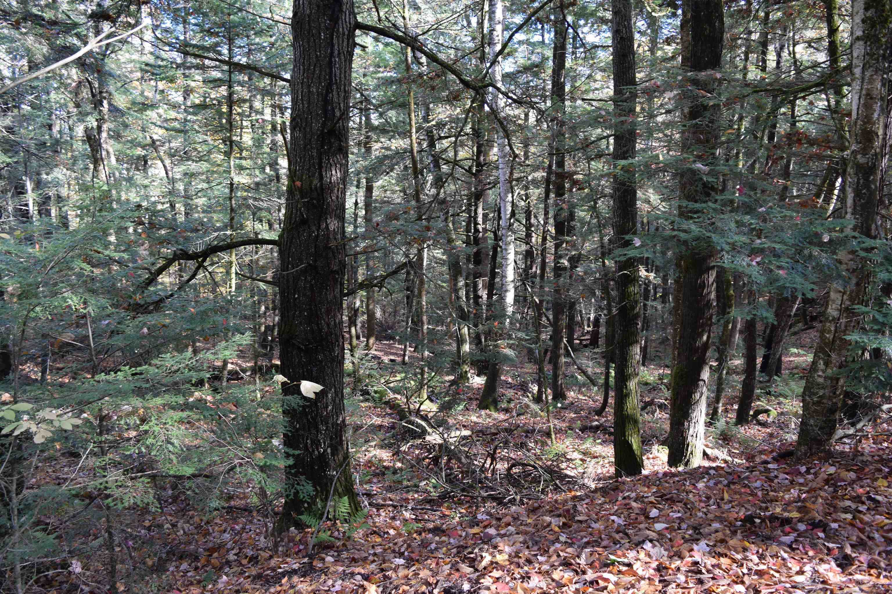 Lot 14 Hanover Dr, Haverhill, NH 03765