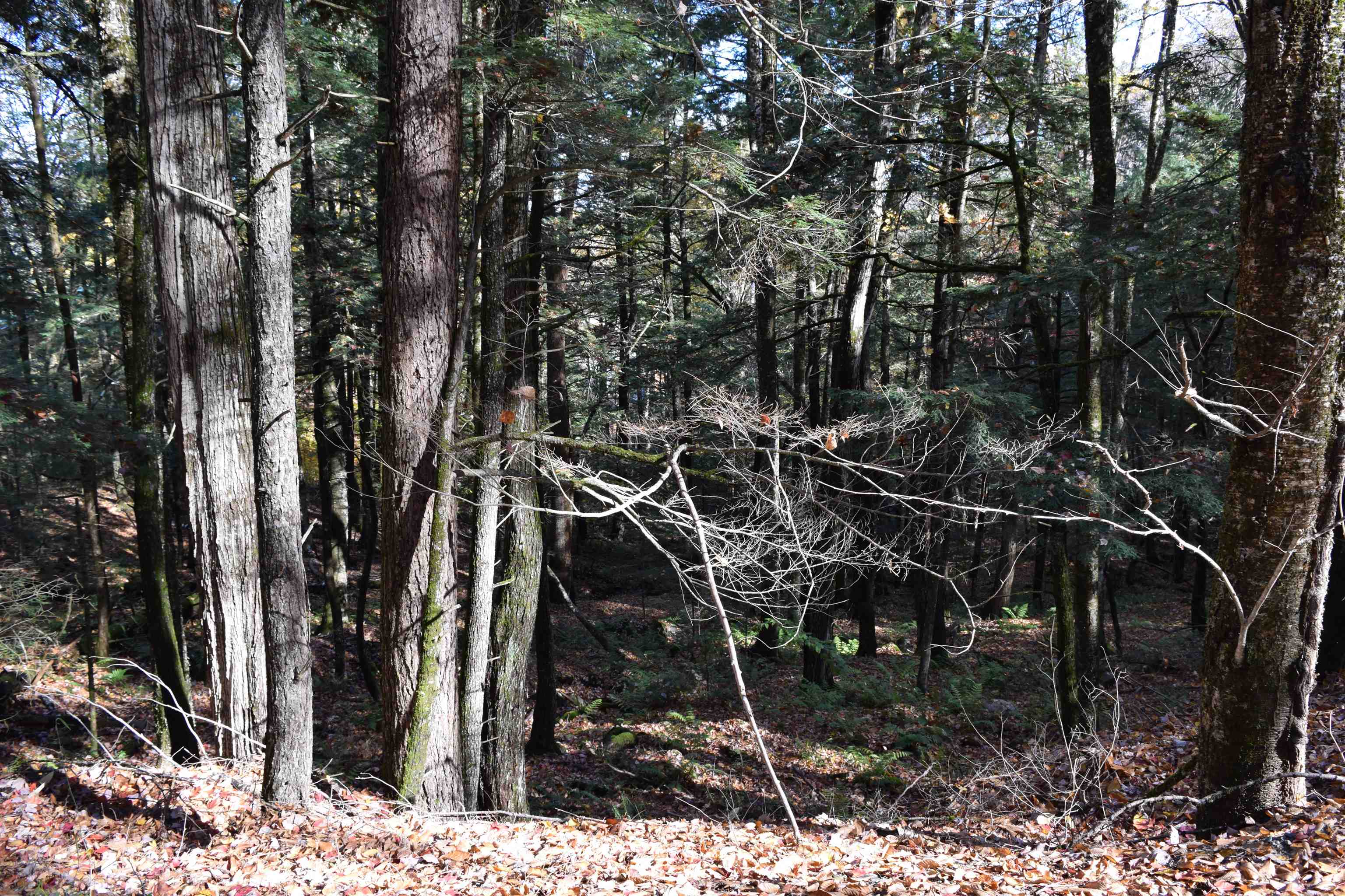 Lot 14 Hanover Dr, Haverhill, NH 03765