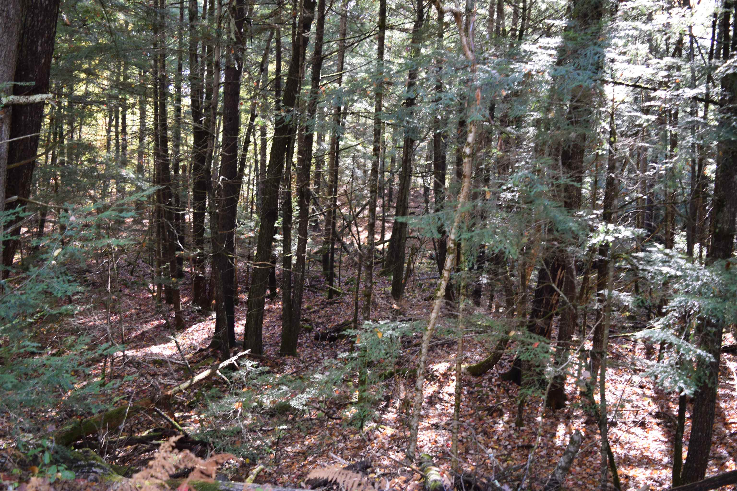 Lot 185 Hanover Dr, Haverhill, NH 03765