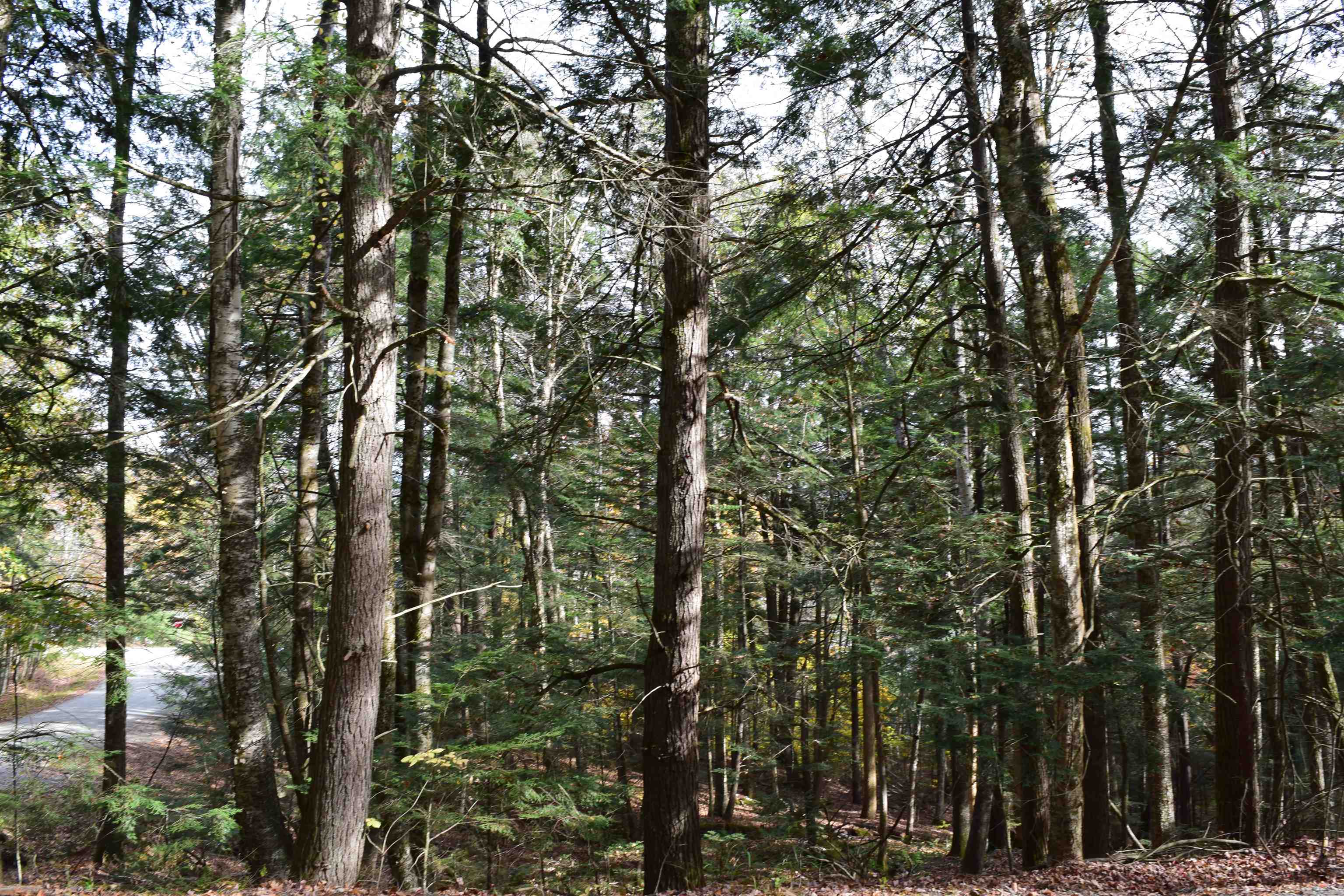 Lot 185 Hanover Dr, Haverhill, NH 03765