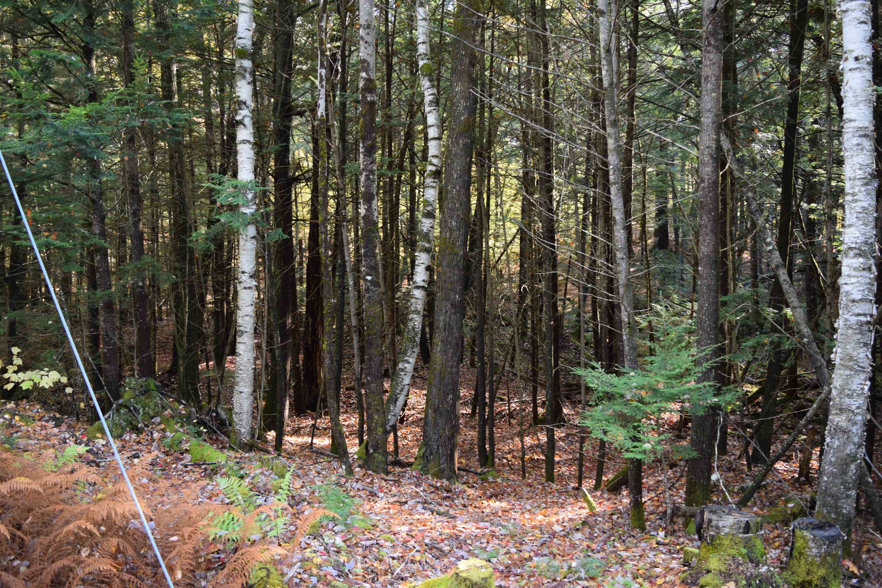 Lot 185 Hanover Dr, Haverhill, NH 03765