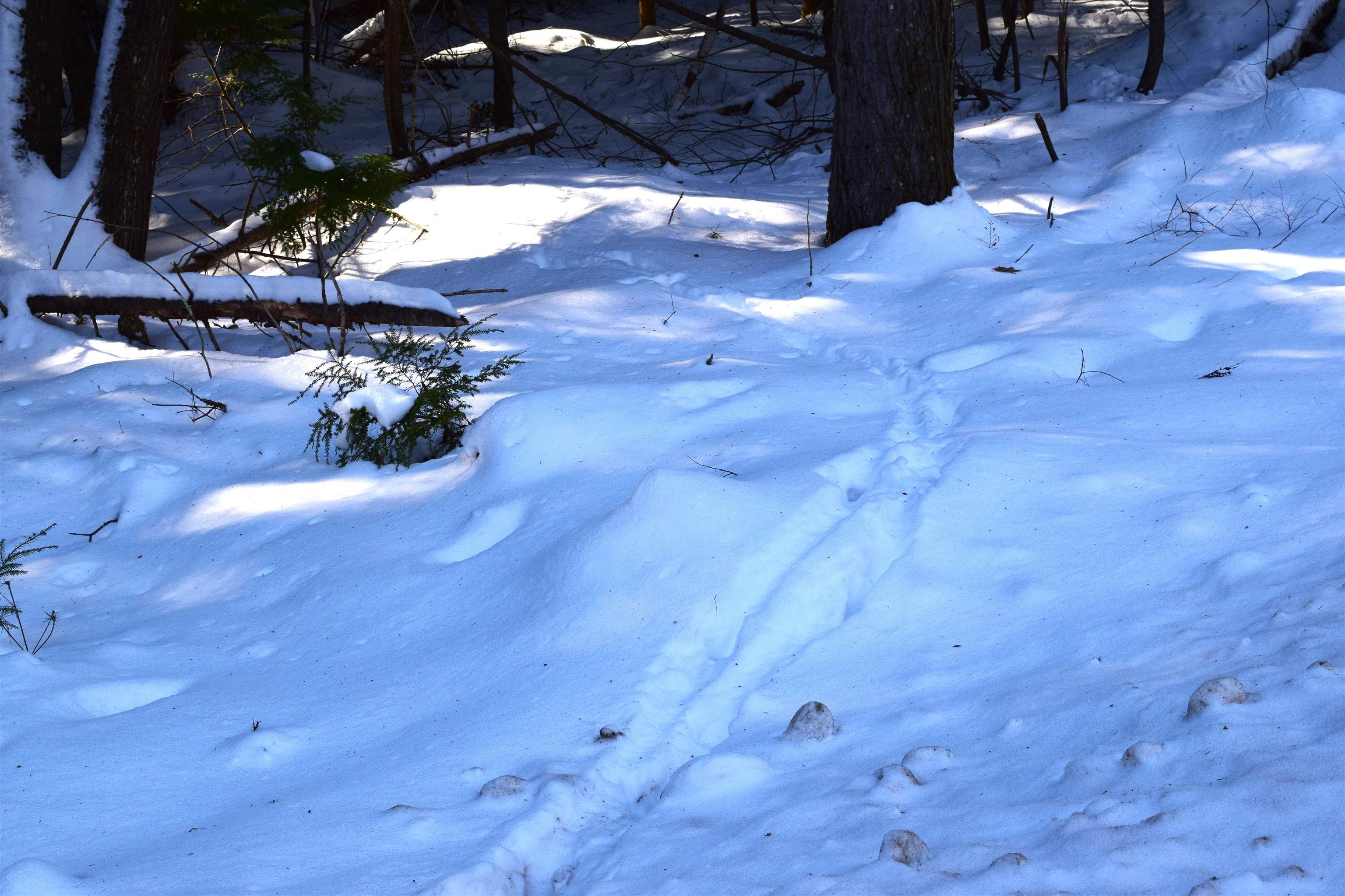 Homes for sale in Haverhill, NH | Lot 185 Hanover Dr, Haverhill, NH 03765 | MLS# 5065790