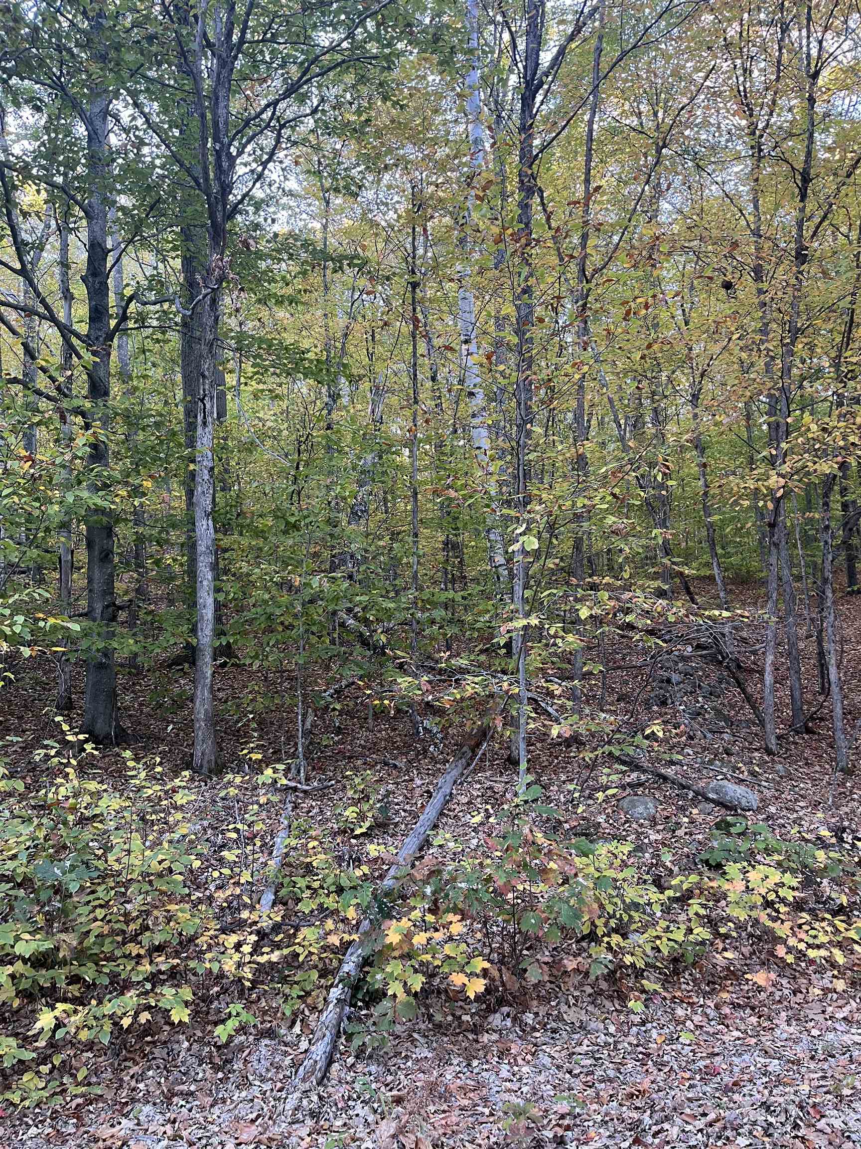 Campton NH Land for sale $$57,000 | 1 Acres  | Price Per Acre $0 