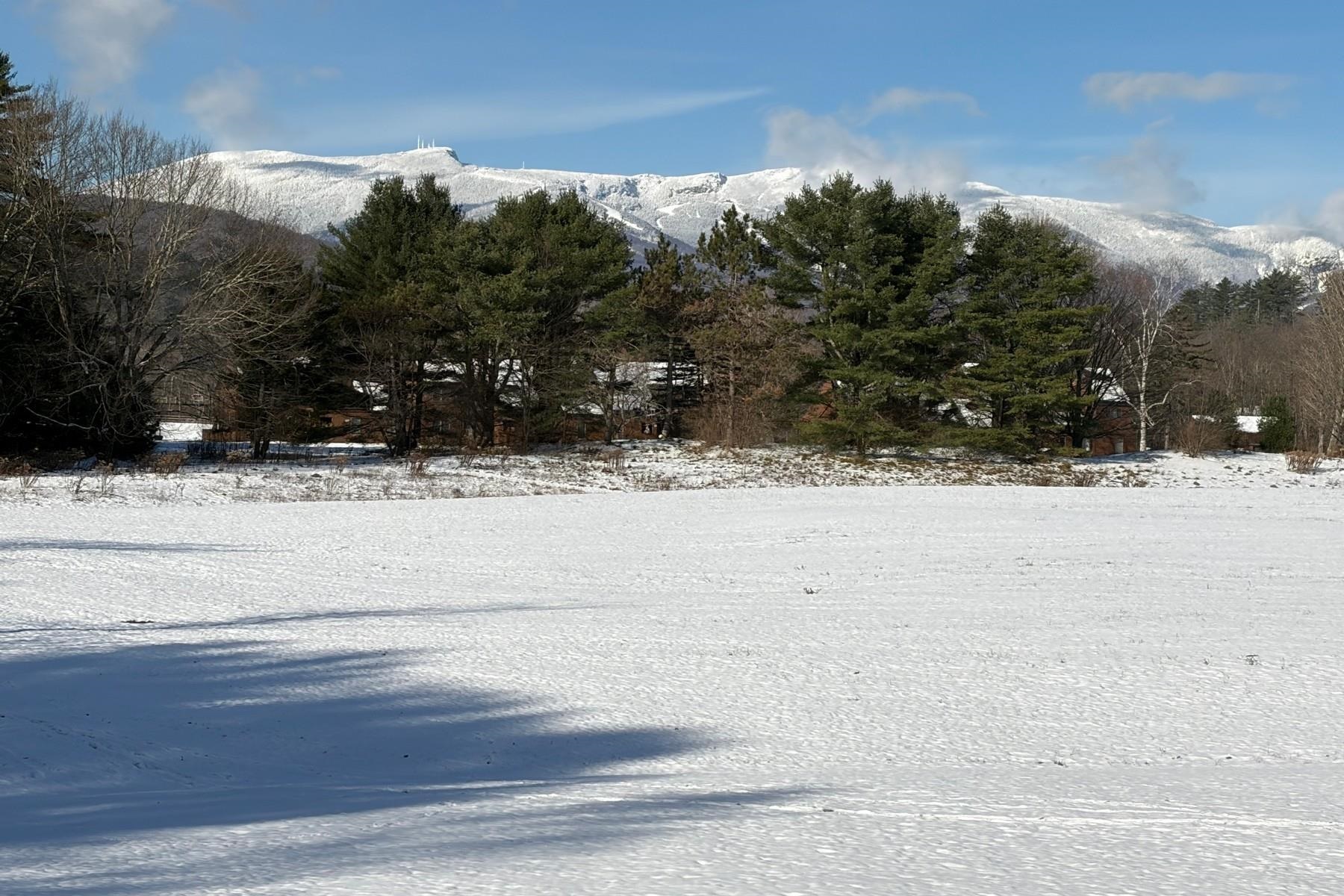 Homes for sale in Stowe, VT | 435 Stonybrook Rd #29, Stowe, VT 05472 | MLS# 5065895