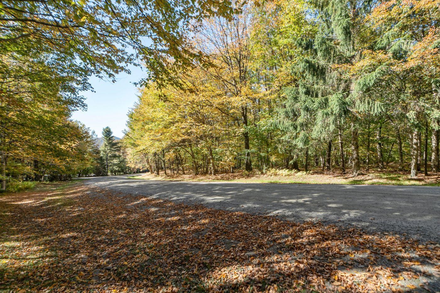 Homes for sale in Stowe, VT | 00 Billings Hill Rd, Stowe, VT 05672 | MLS# 5065906