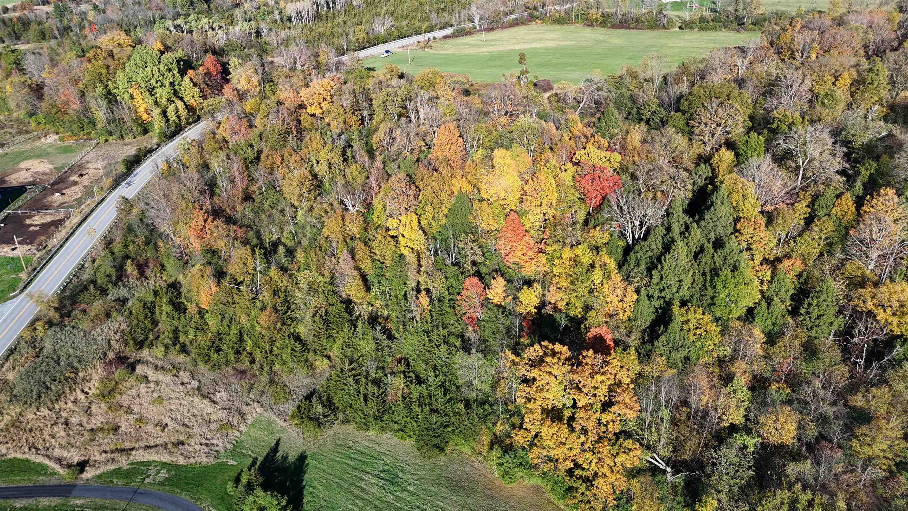 Homes for sale in Cornwall, VT | Tbd Route 74, Cornwall, VT 05753 | MLS# 5065913