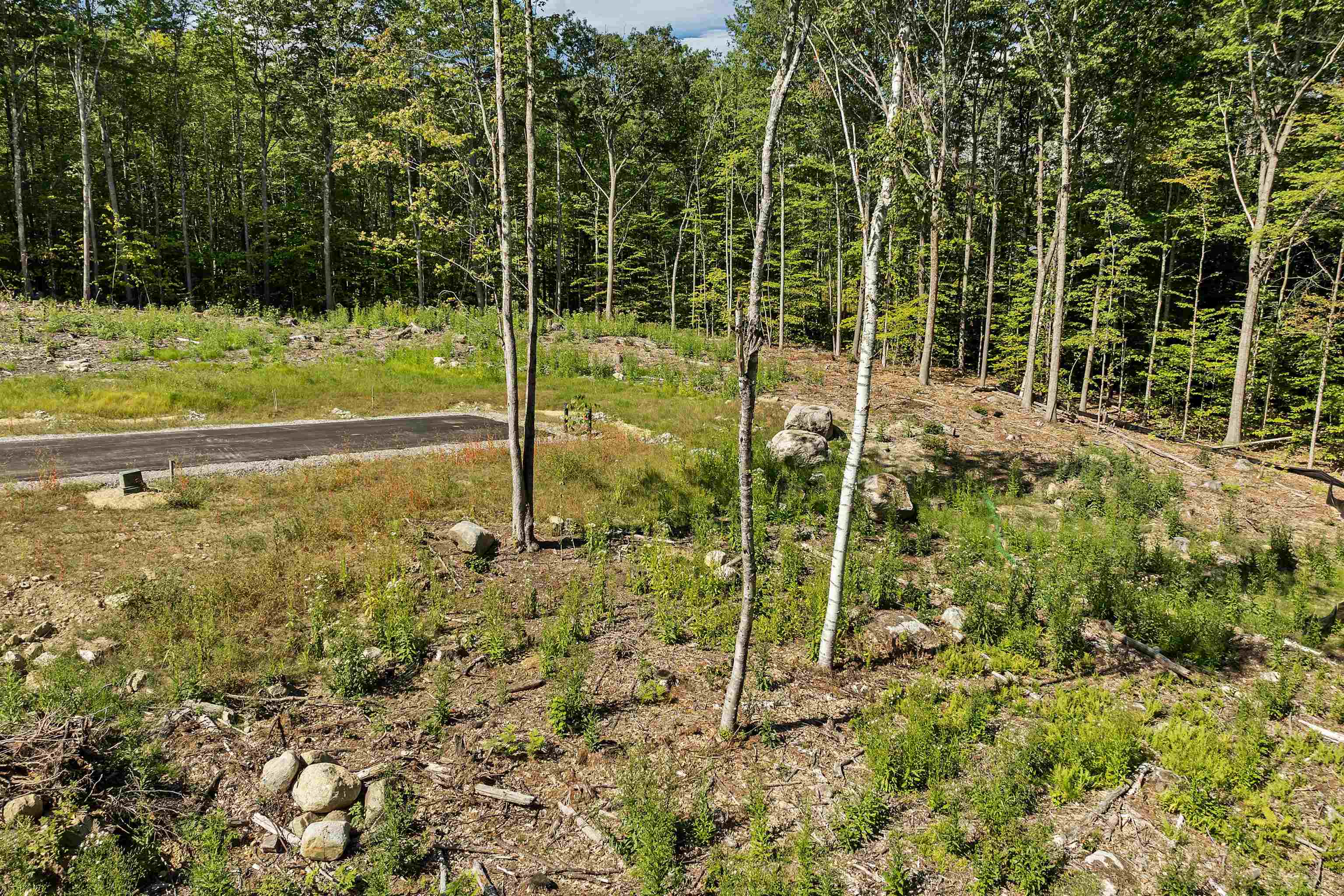 MLS #5065914 image #42