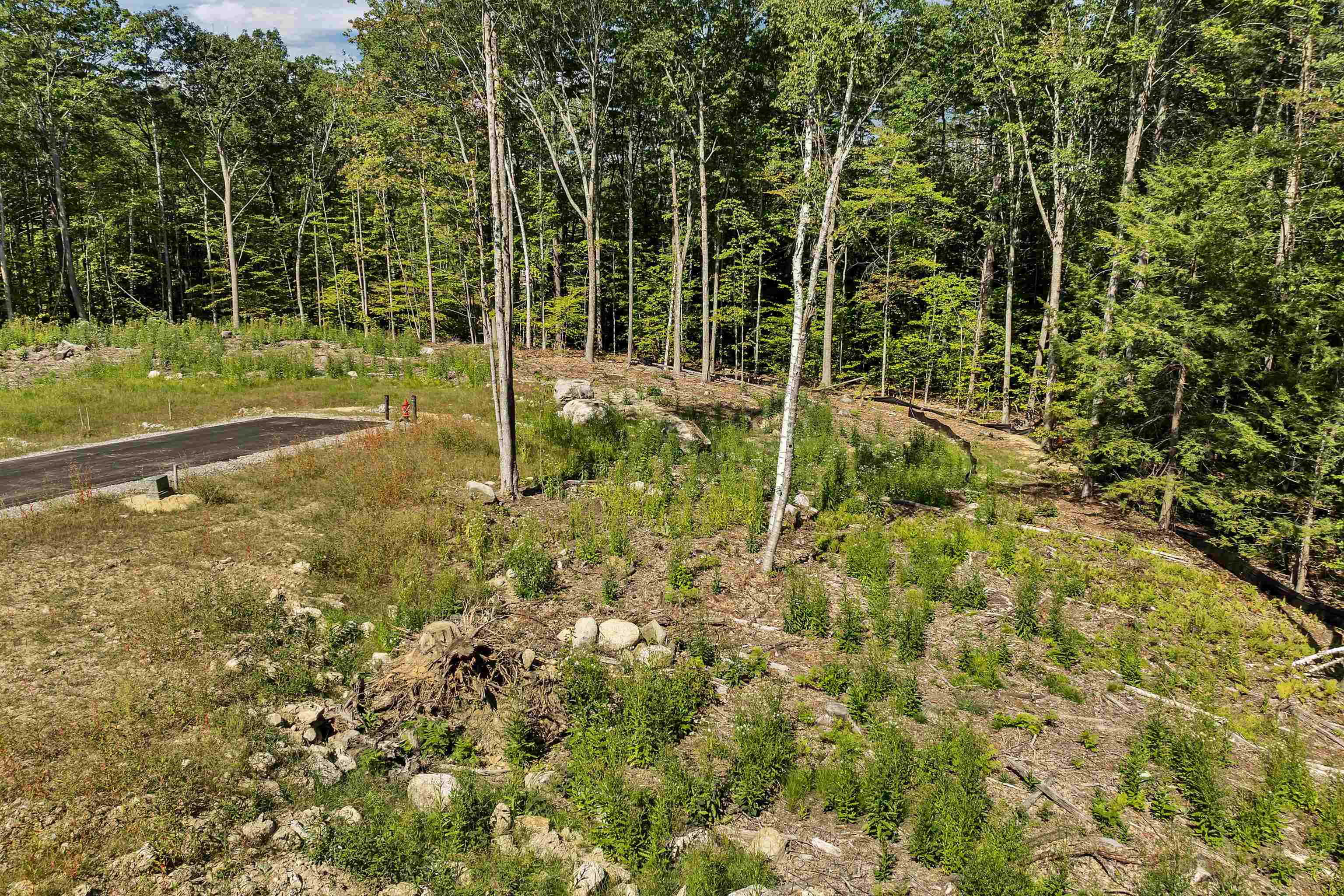 MLS #5065914 image #7