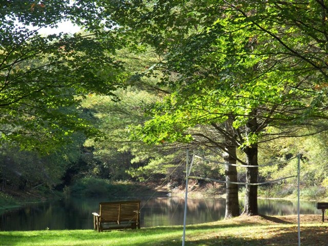 MLS #5065953 image #56