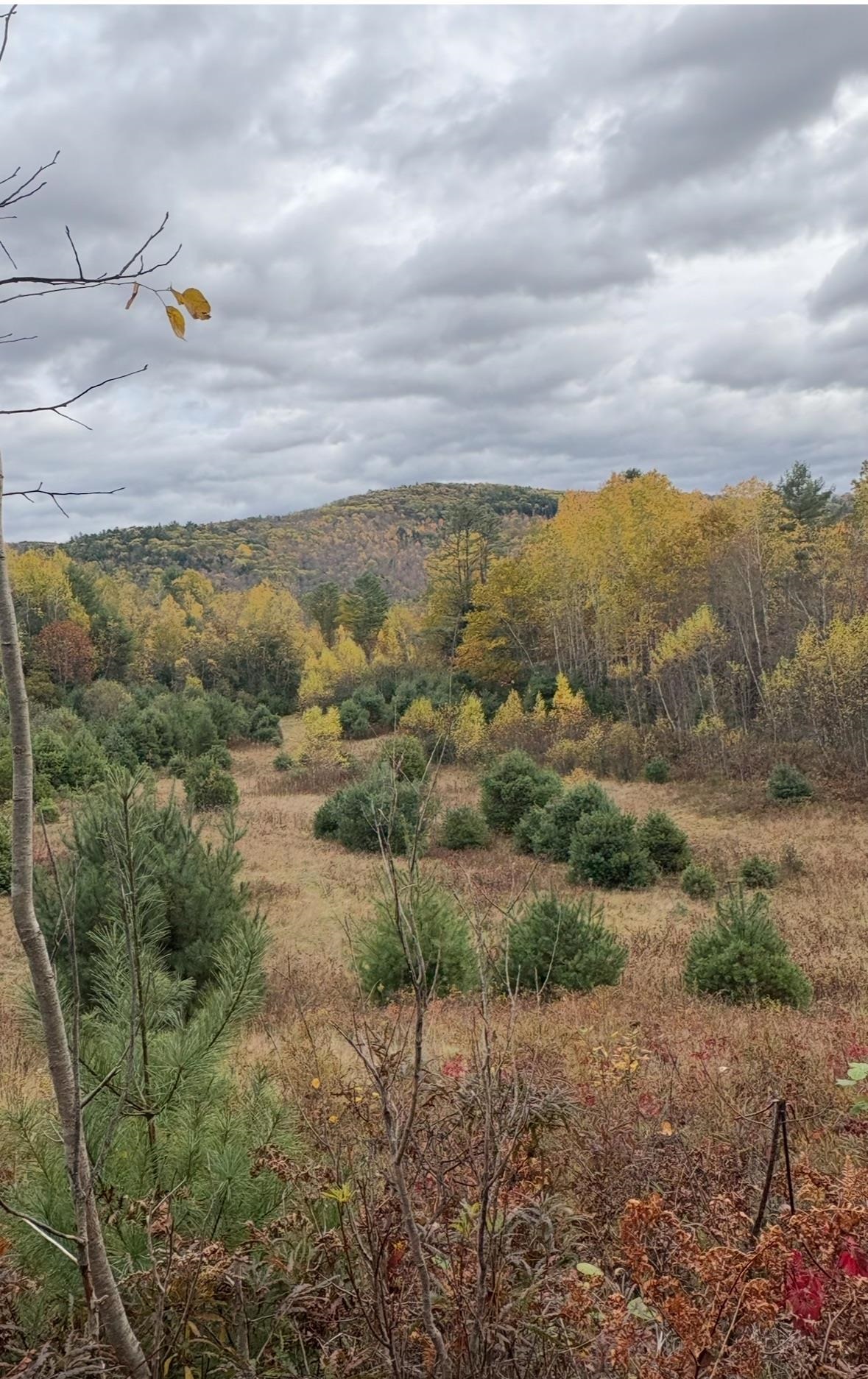 Lisbon NH Land for sale $$84,900 | 2.01 Acres  | Price Per Acre $0 