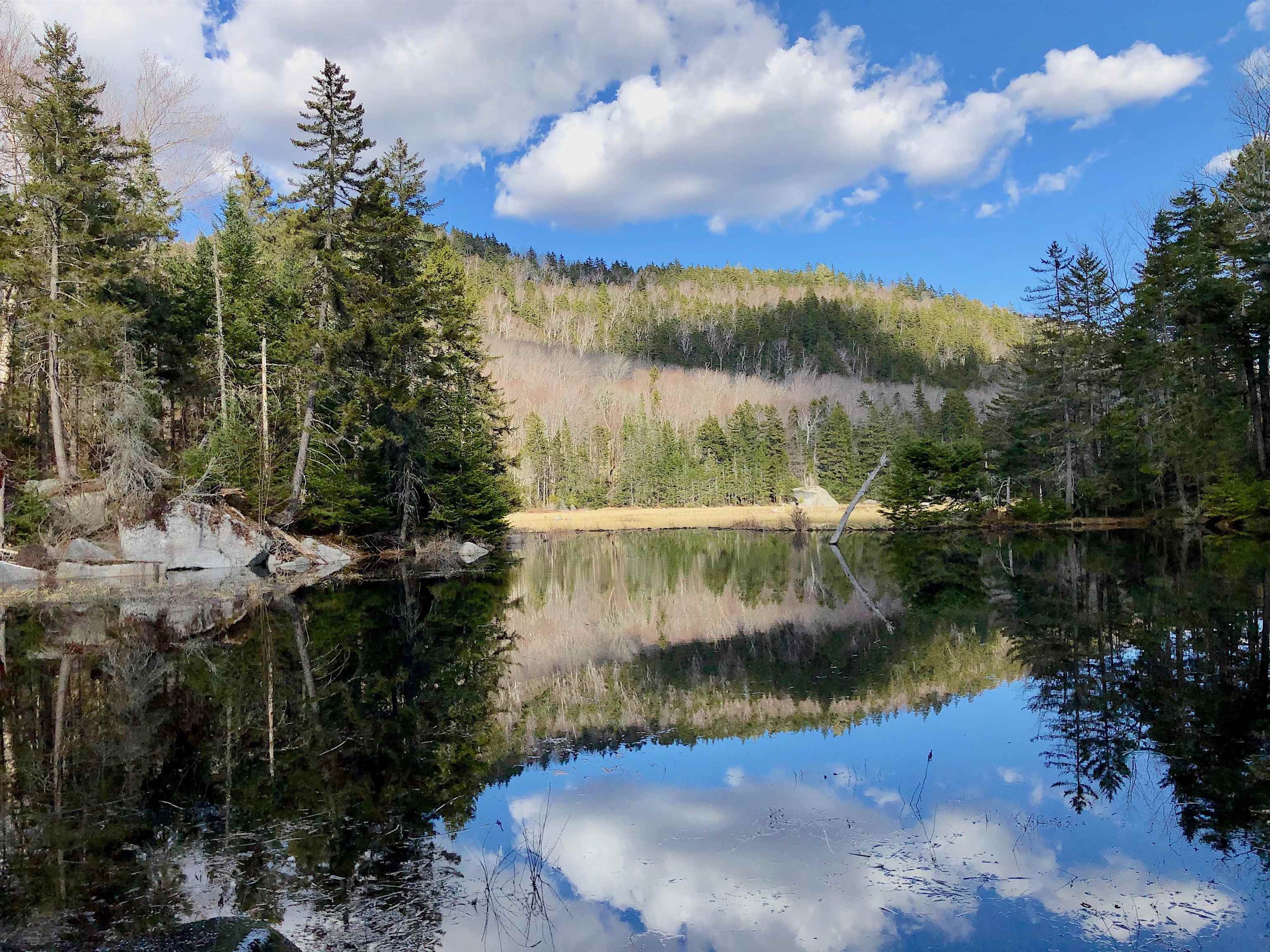 MLS #5066006 image #11