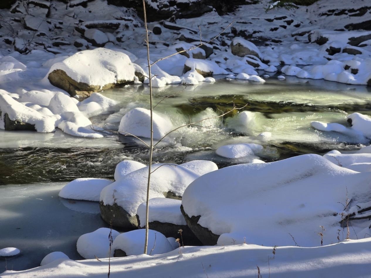 Homes for sale in Barnard, VT | 00 Chateauguay Rd, Barnard, VT 05031 | MLS# 5066021