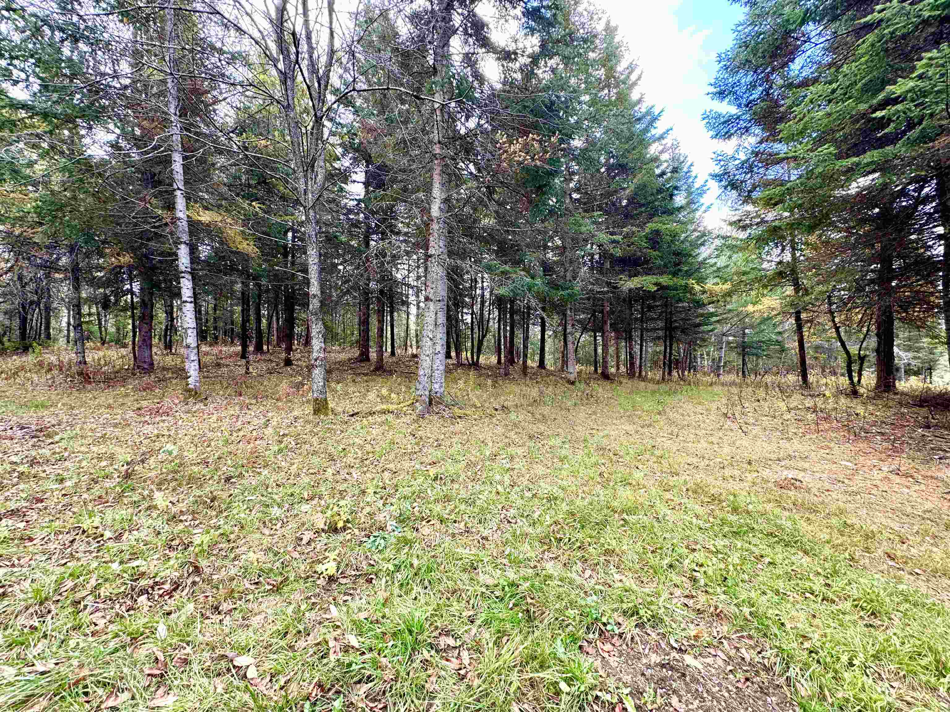 TBD Hollow Rd, Stewartstown, NH 03576