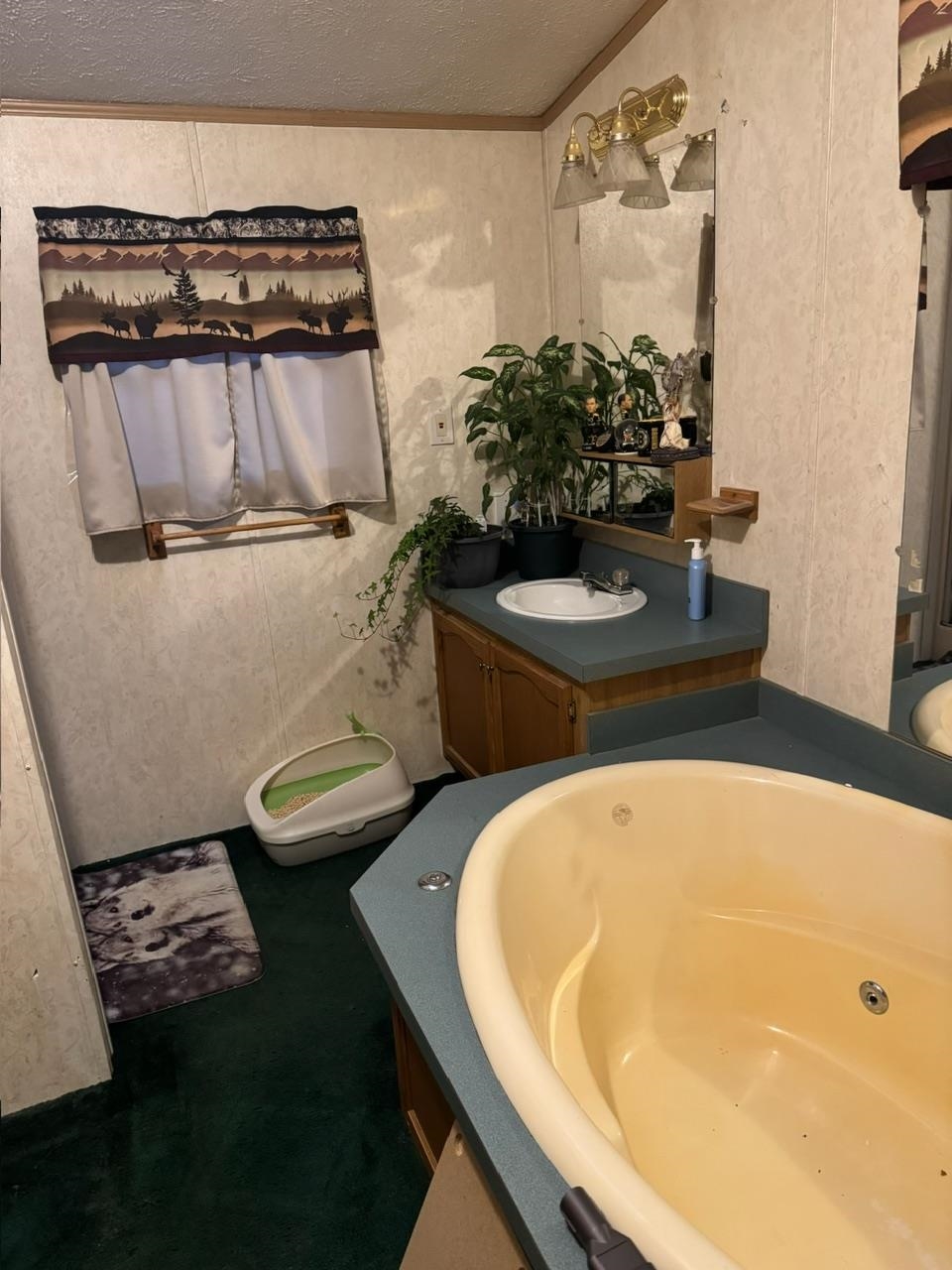 MLS #5066090 image #13