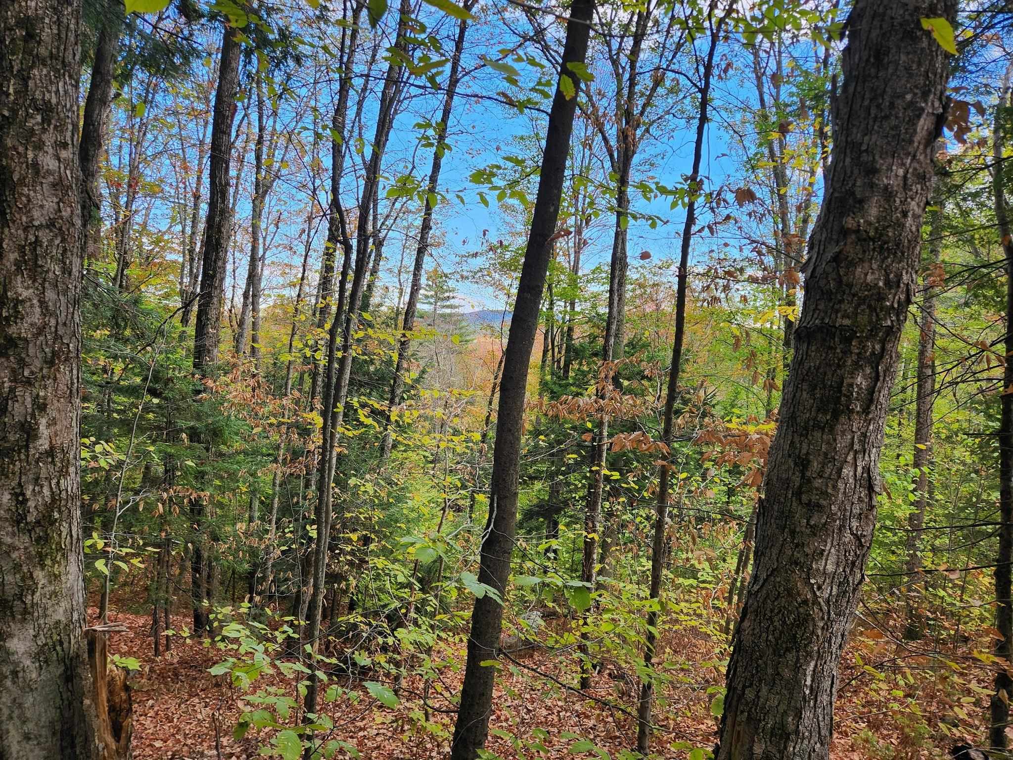 Homes for sale in Warner, NH | Bagley Hill Rd, Warner, NH 03278 | MLS# 5066107