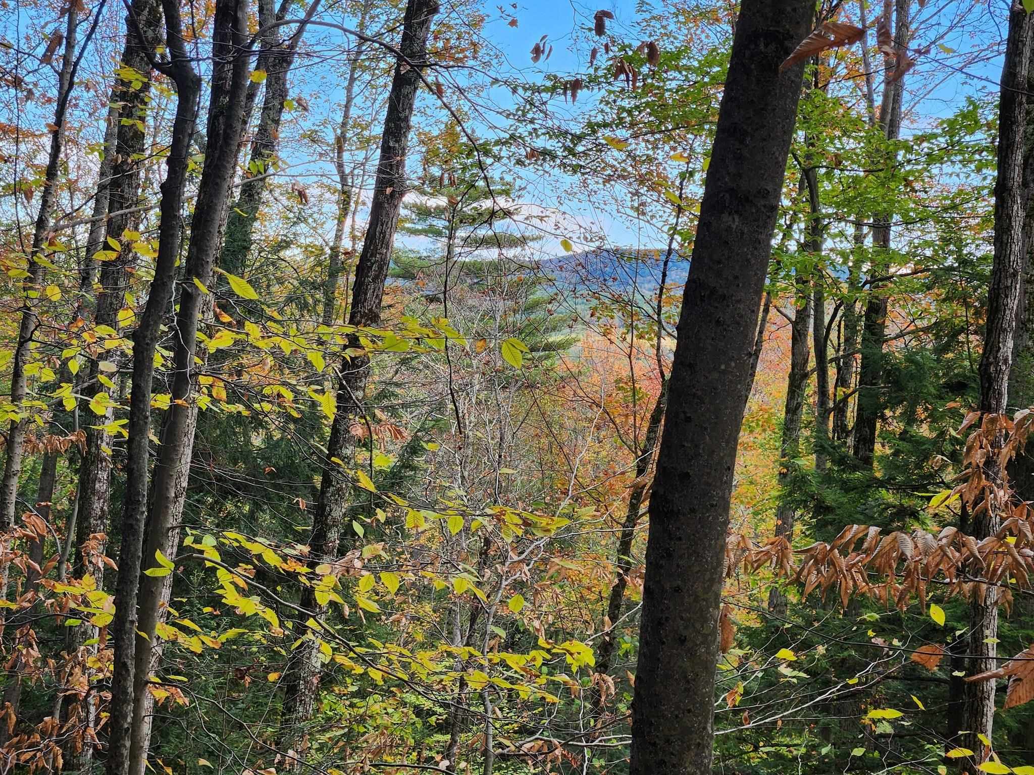 Homes for sale in Warner, NH | Bagley Hill Rd, Warner, NH 03278 | MLS# 5066107