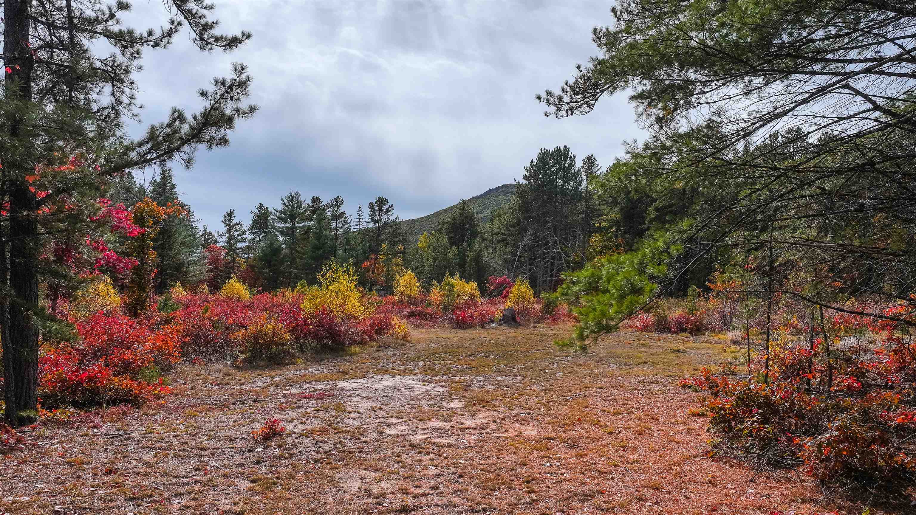 Homes for sale in Brownfield, ME | 97 Pig St, Brownfield, ME 04010 | MLS# 5066141