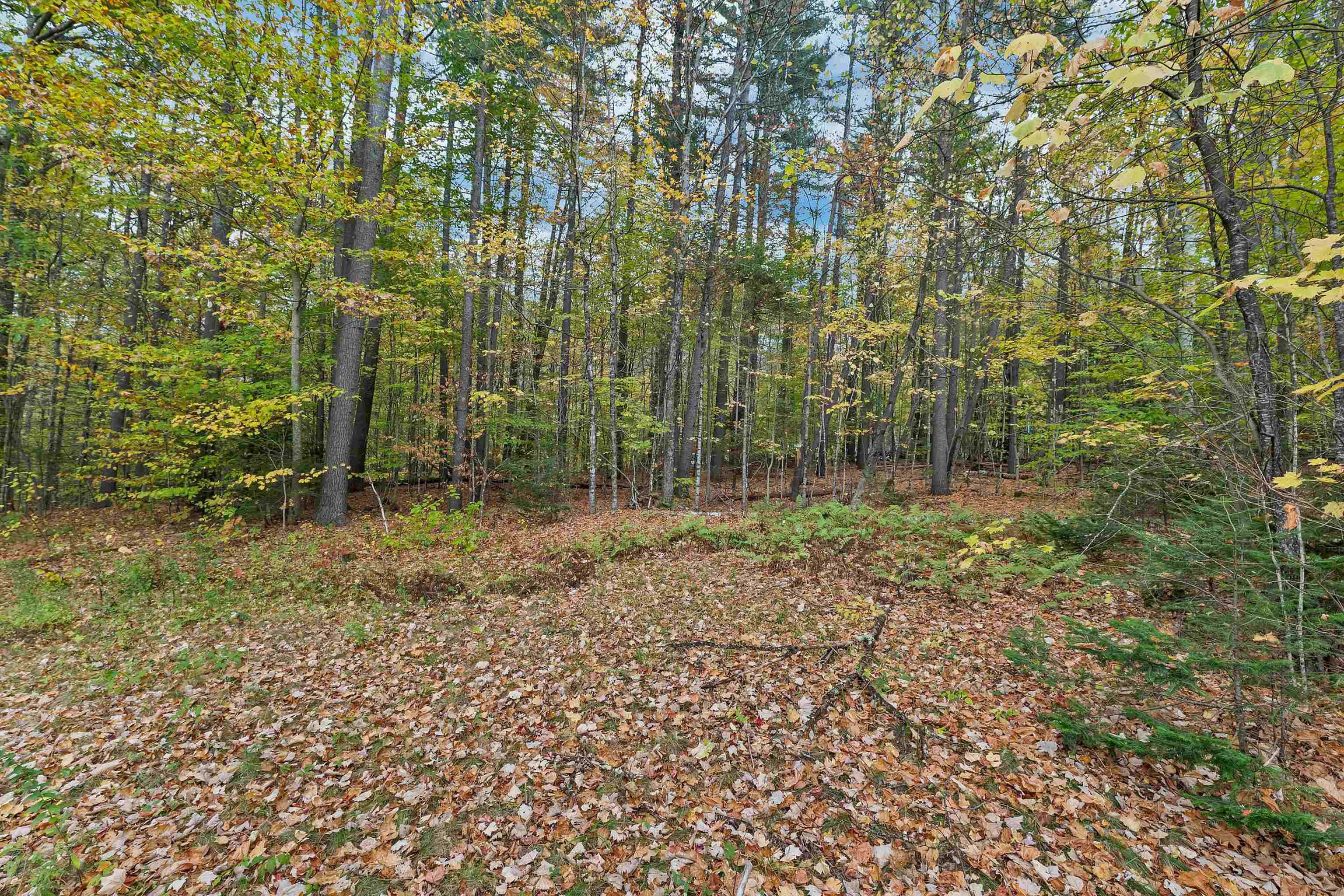 MLS #5066196 image #36