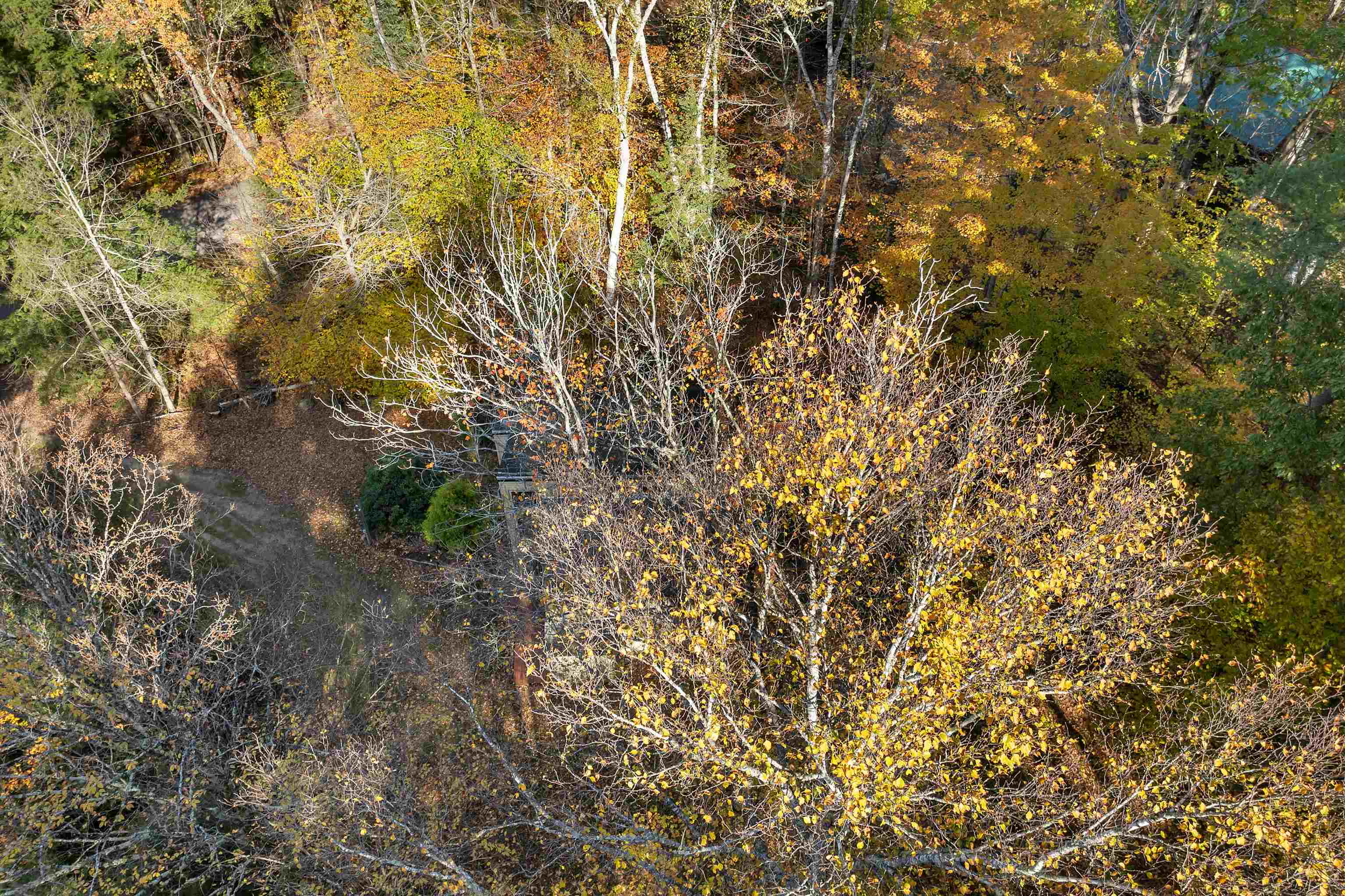 MLS #5066196 image #49