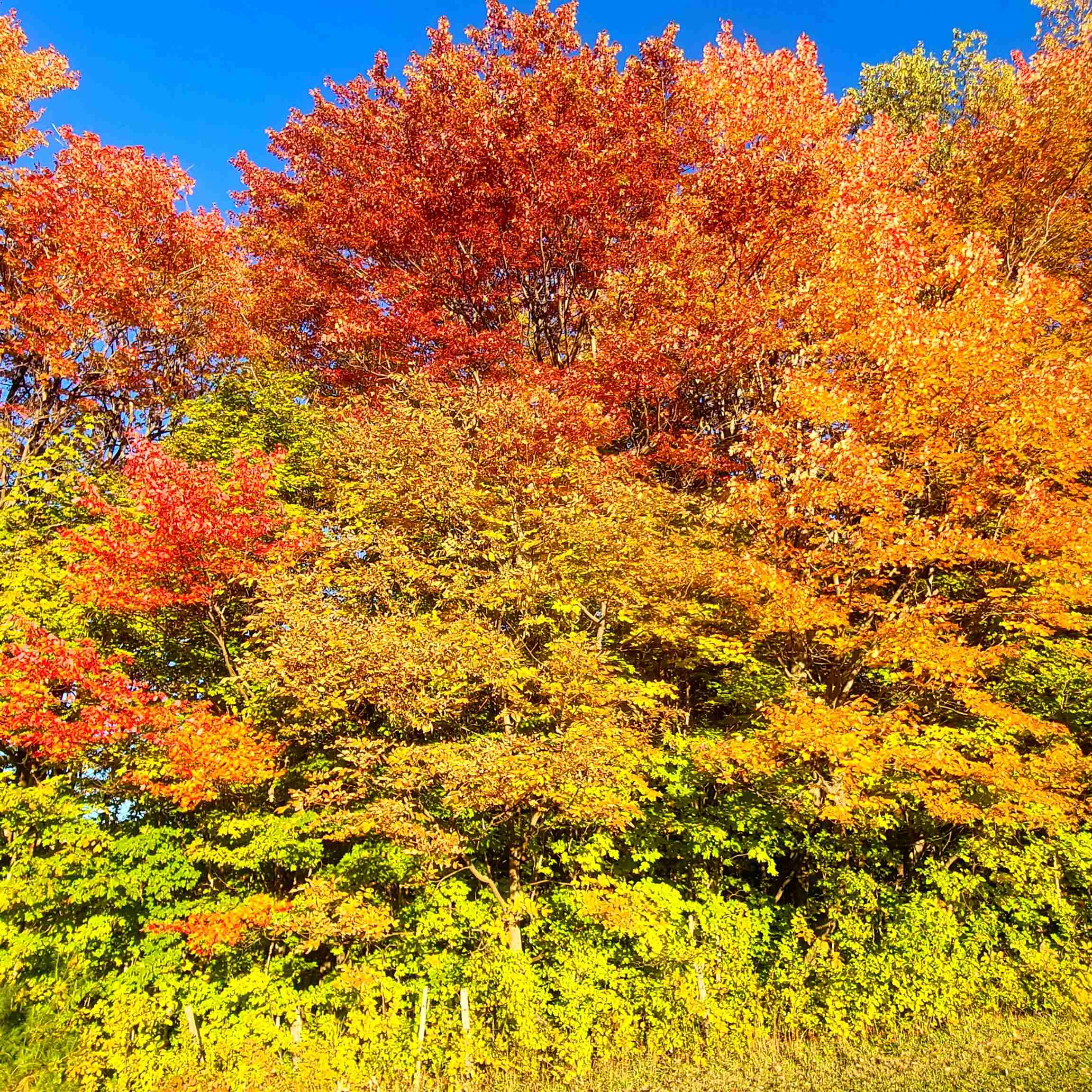 Homes for sale in Morristown, VT | 3325 Mud City Loop, Morristown, VT 05661 | MLS# 5066227