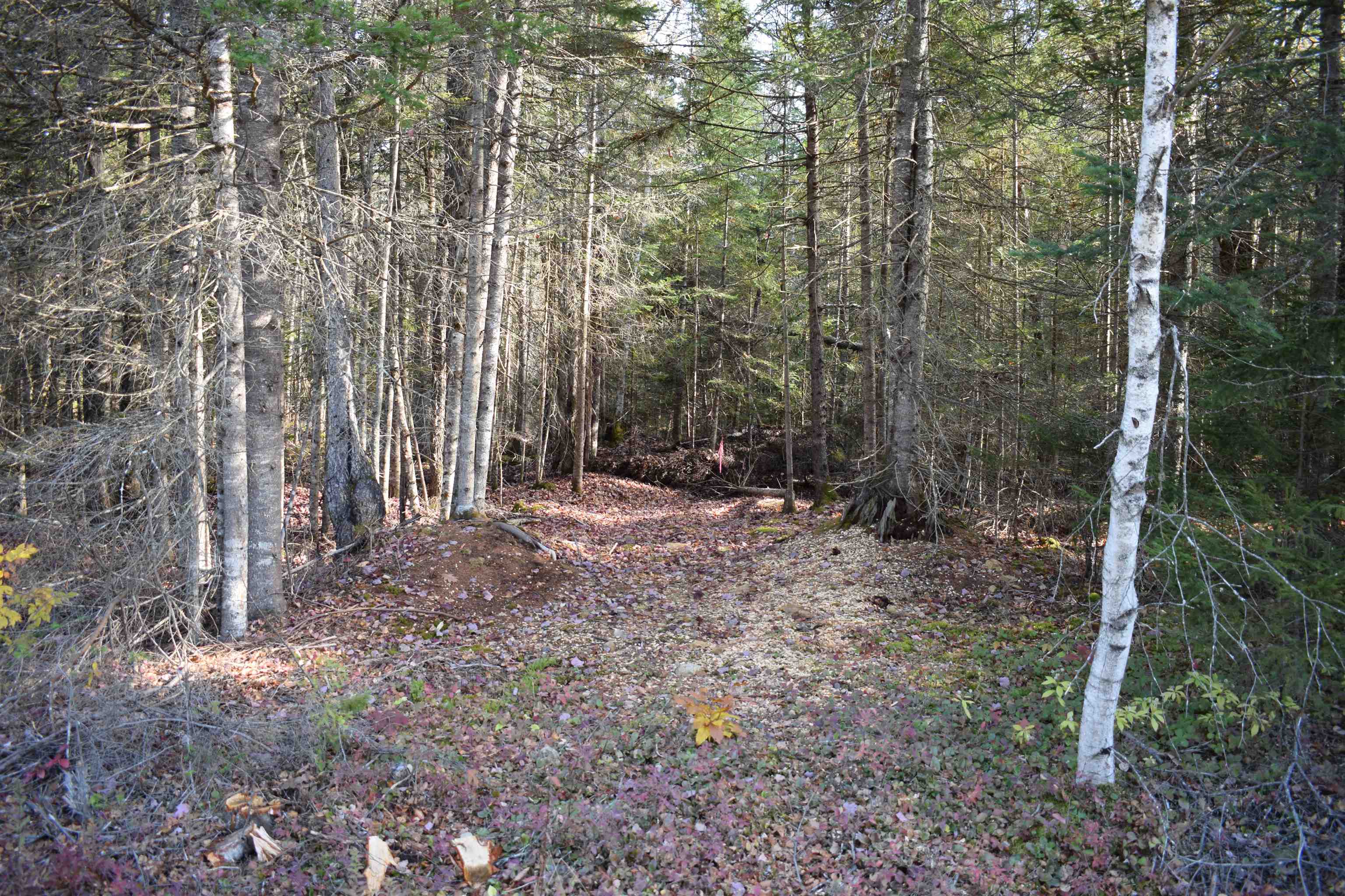 Lot 12 Mirror Lake Est, Whitefield, NH 03598