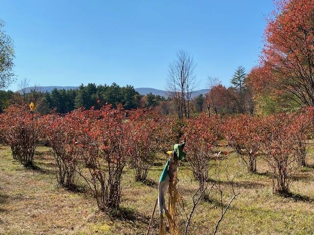 44 Pleasant View Rd, Bradford, NH 03221