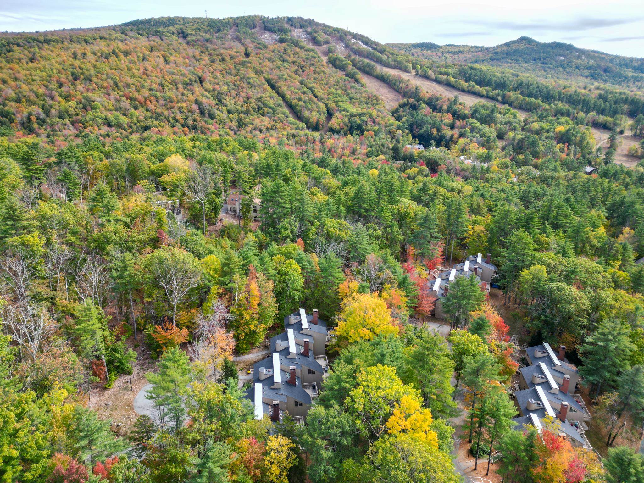 Homes for sale in Conway, NH | 72 Cranmore Woods Ln #2, Conway, NH 03860 | MLS# 5066297